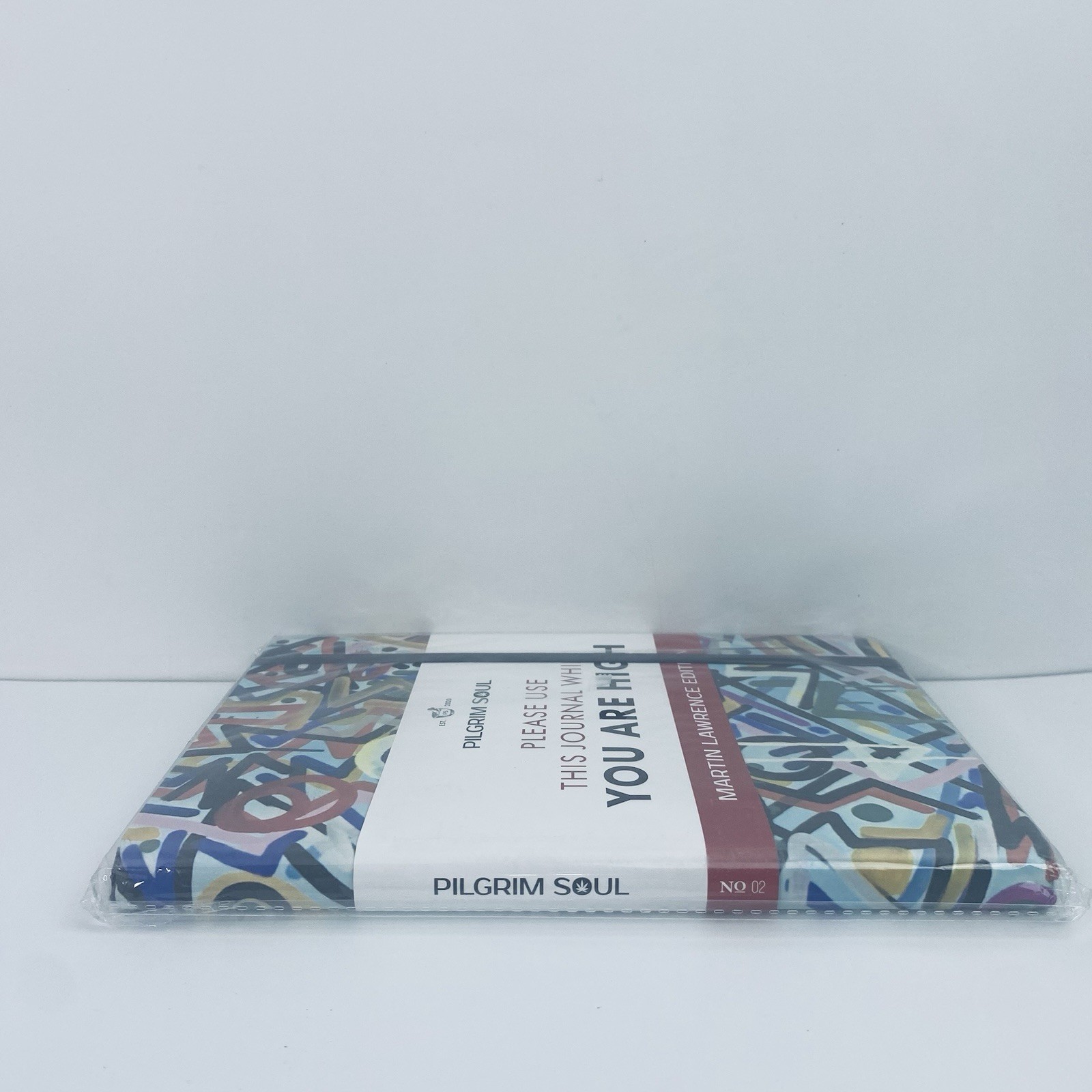Please Use This Journal While You Are High Pilgrim Soul Creative Thinking NEW