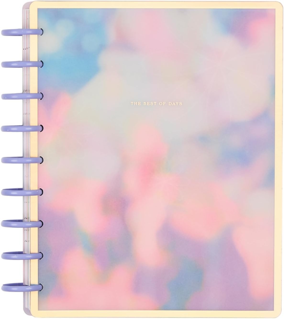 Happy Planner Disc-Bound Planner July 2026–June 2027, Includes 3 Extra and 2…