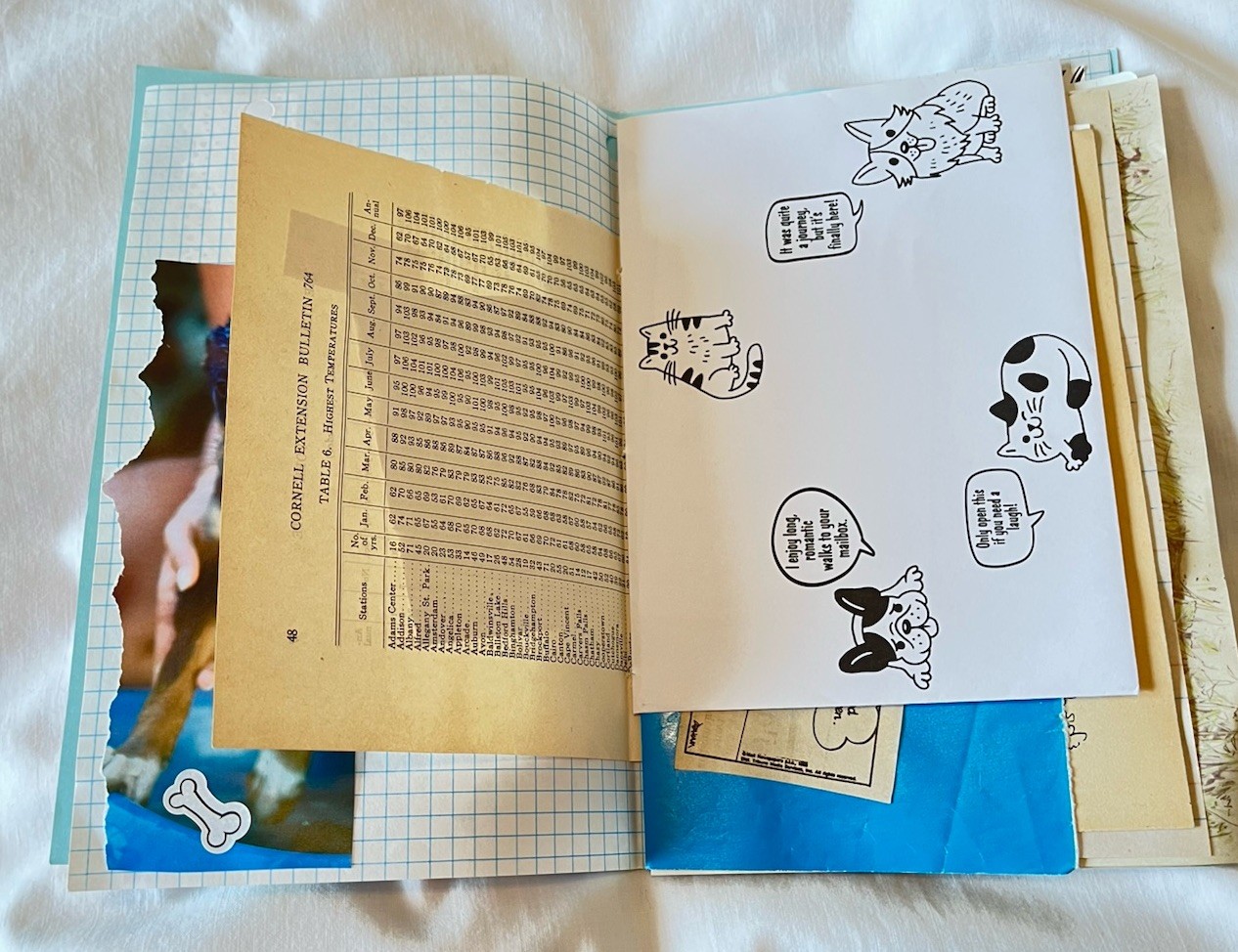 Junk Journal Cats & Dogs Theme, 6×9” Handmade, Paper Ephemera Tucks Embellished