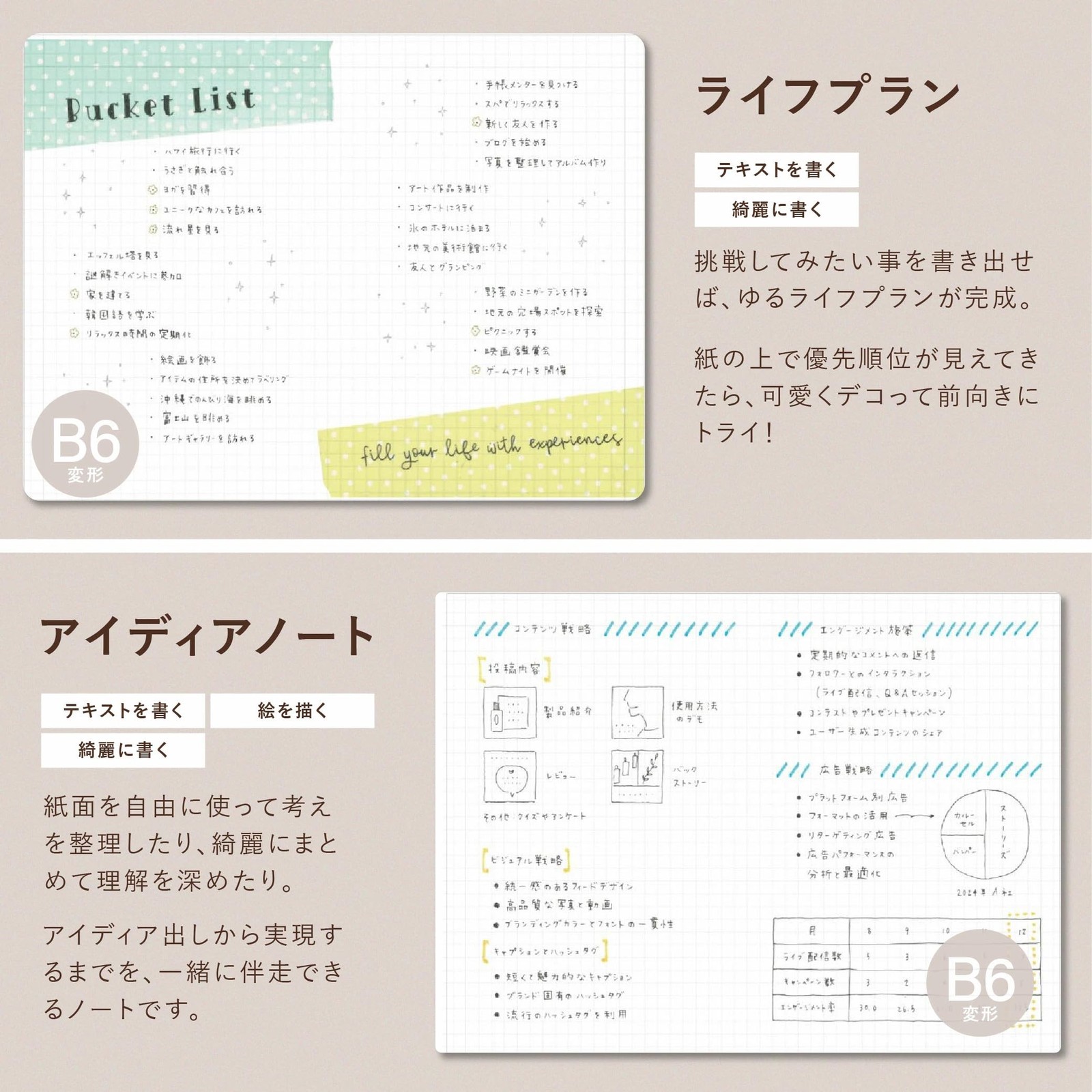 Graph paper notebook, B7 size (modified), with PVC cover, EDiT 5mm grid, clear,