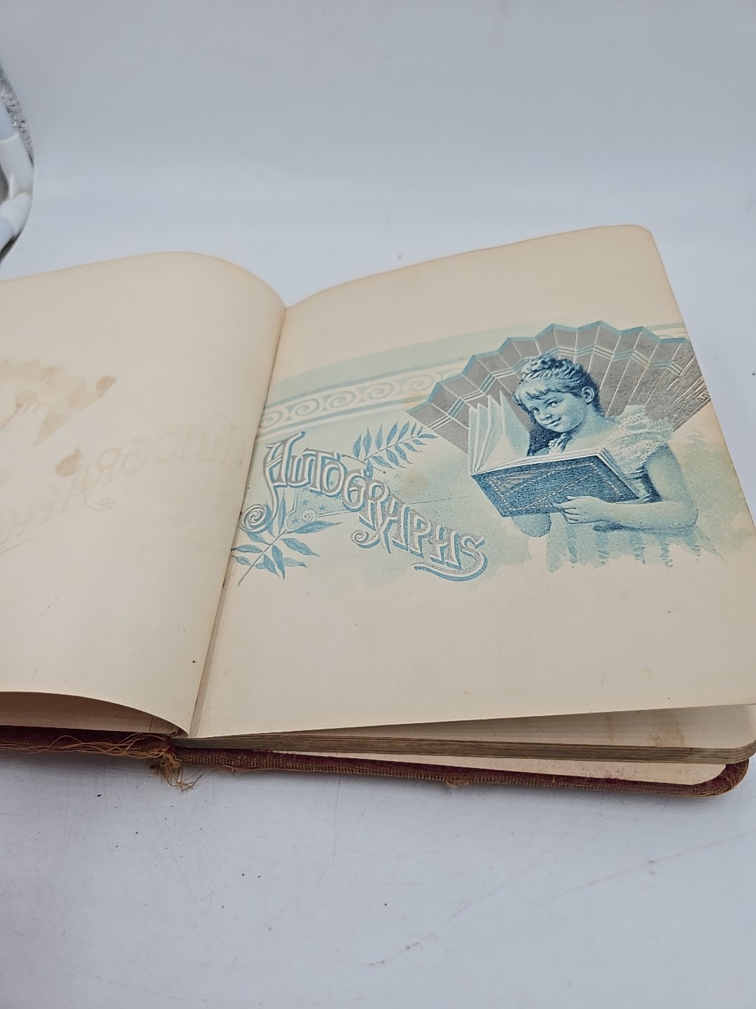 vintage late 1800s Journal