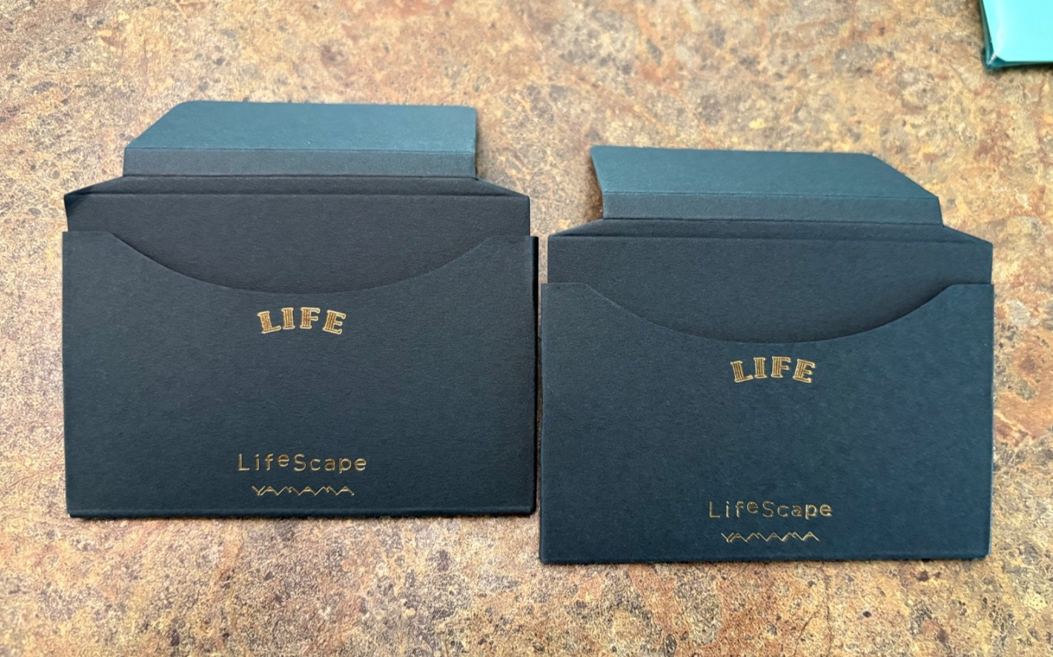 LIFE LifeScapes Pocket Journal Bundle | Paper and PVC Pocket, TODO, and Daily
