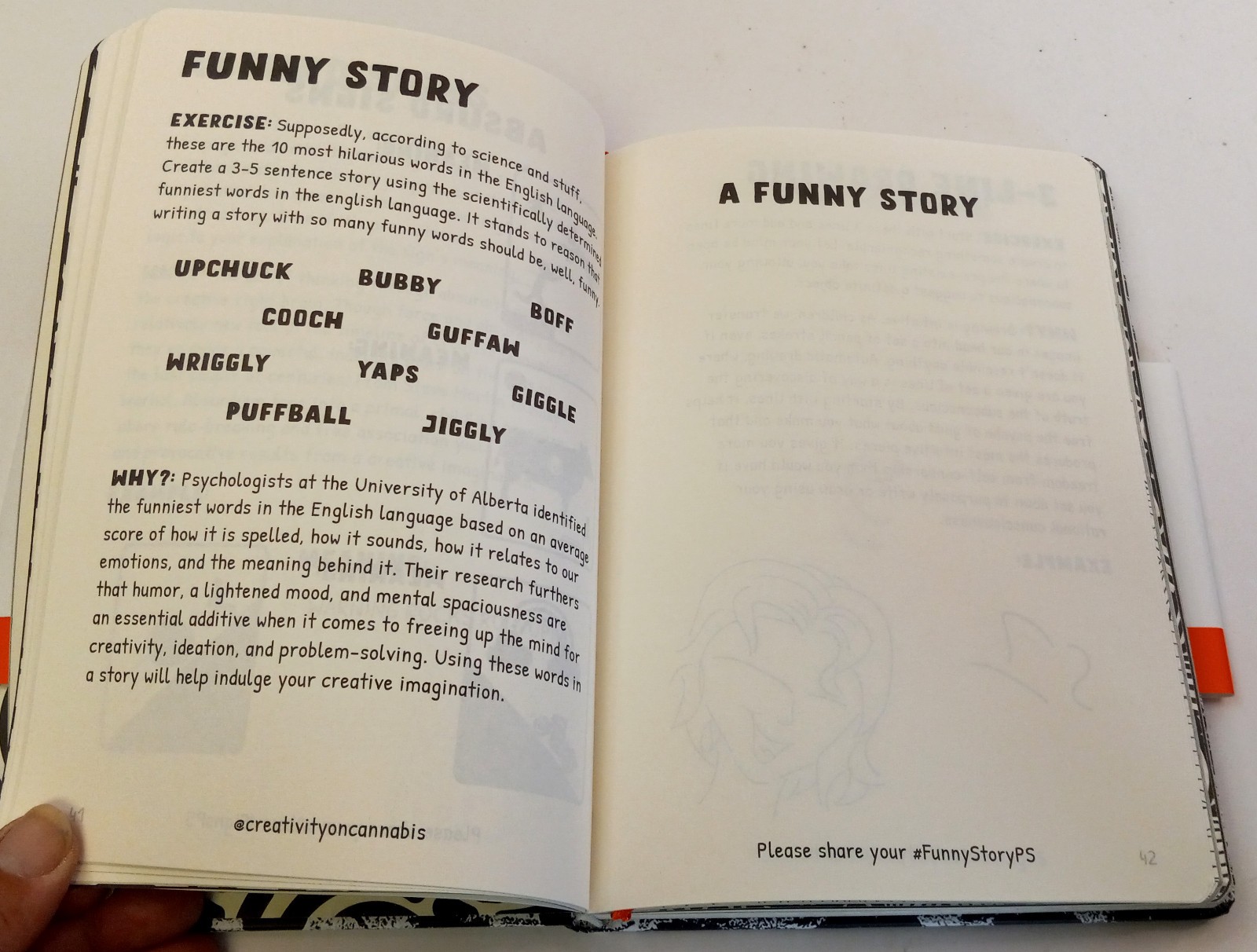 Creative Thinking Journal: Please Use this Journal While High Pilgrim Soul Blank