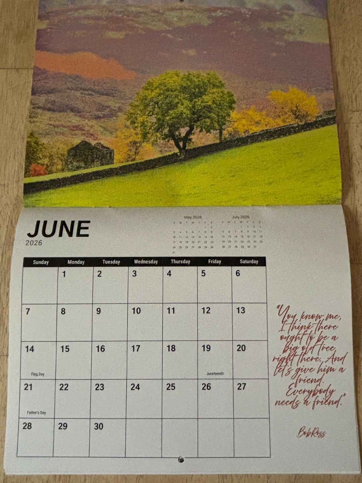 Tree Chronicles – 2026- 12-Month Wall Calendar – Great Tree Photography!