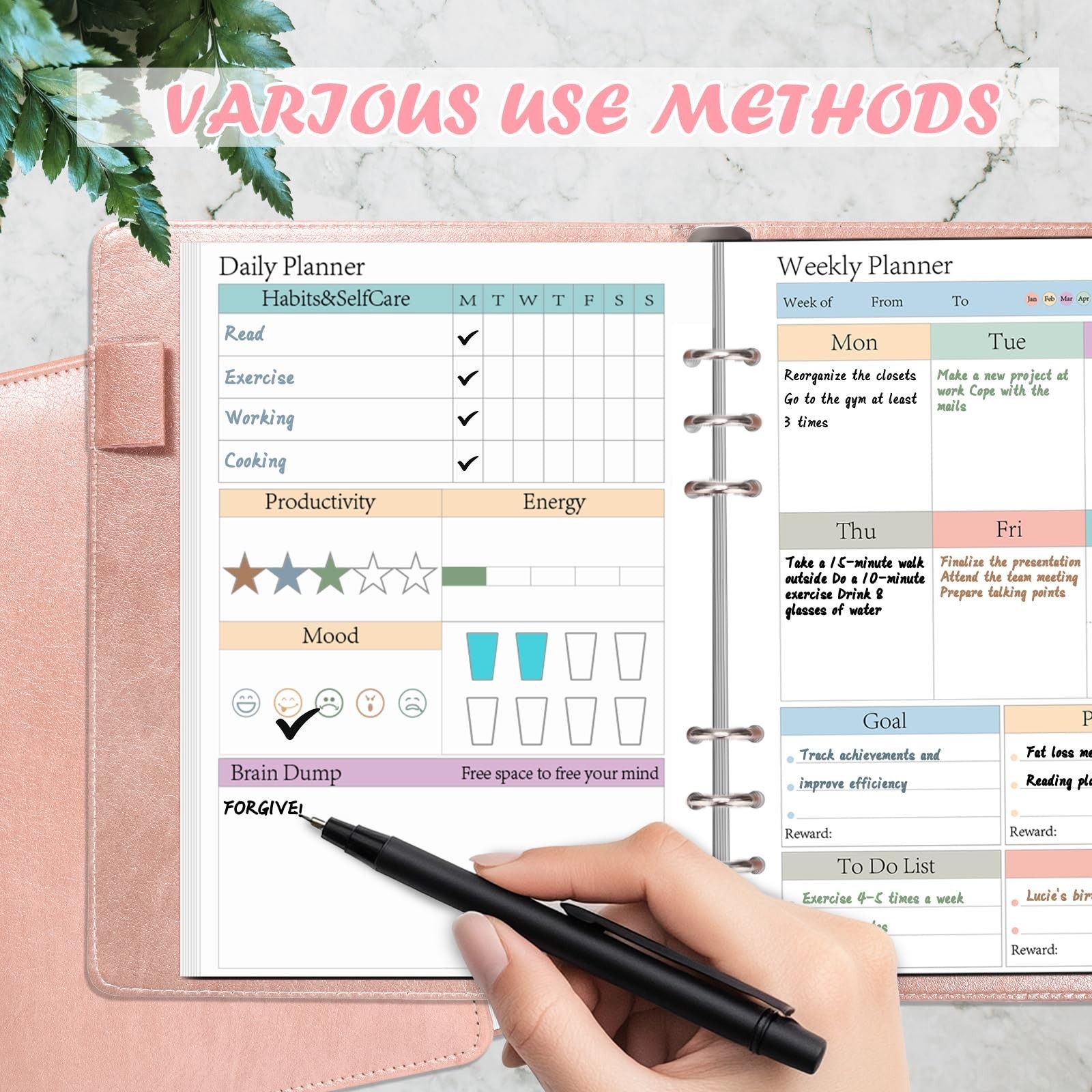 A5 Planner Refill Pages – 480 Sheets Daily Weekly Monthly Inserts, 120 GSM, Colo