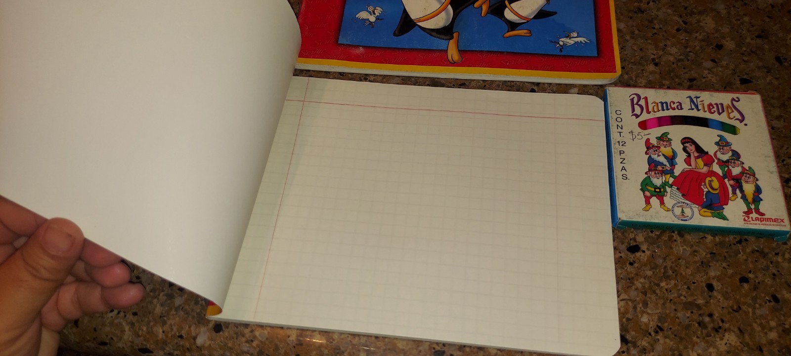 Scribe Blank Notebooks Lot of 2, Cartoon Cardboard Covers, Grid Paper, Penguin …