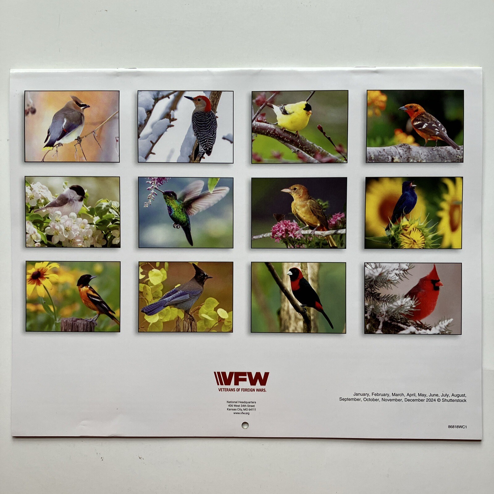 VFW Veterans of Foreign Wars Birds Nature Flowers 12 Month 2024 Wall Calendar