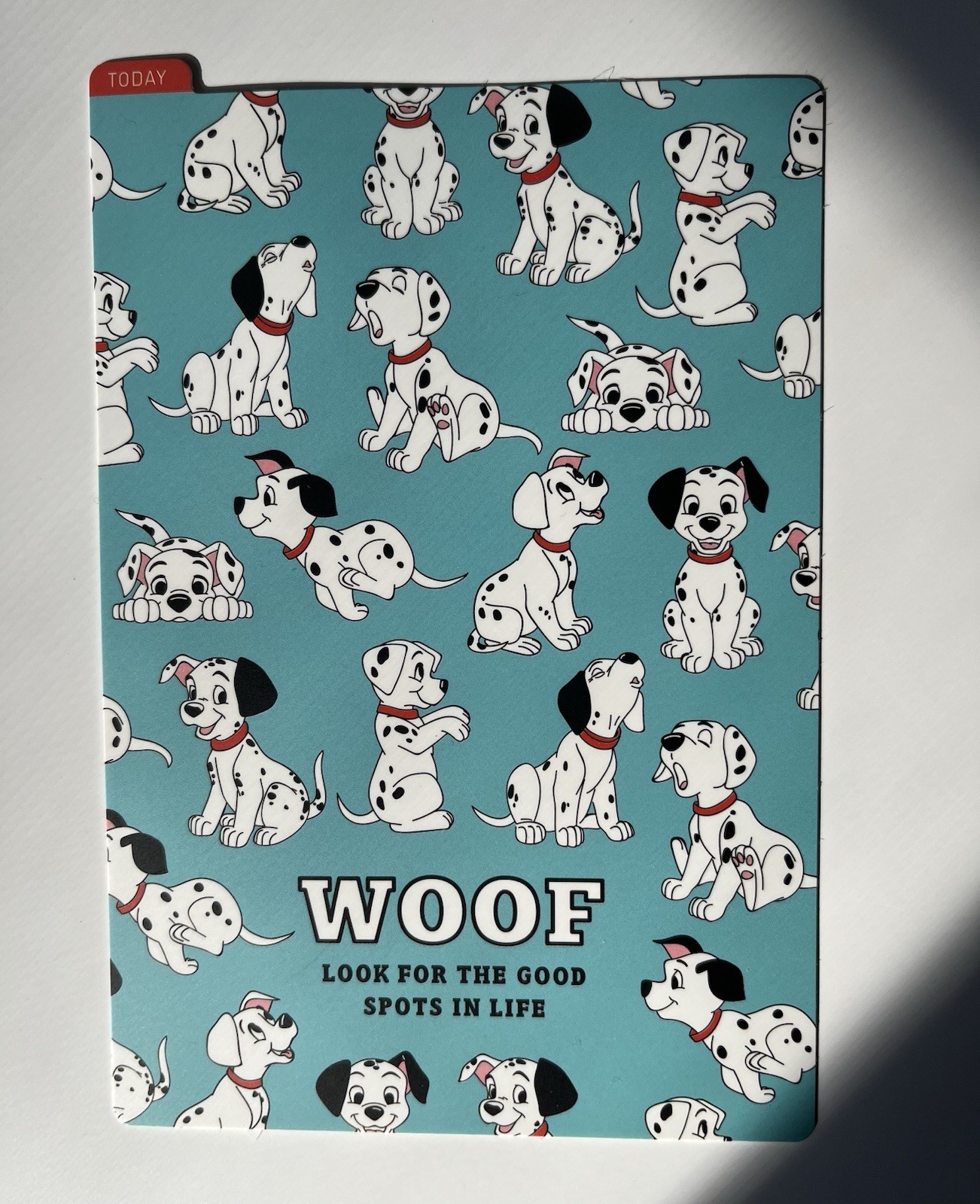 Hobonichi X Disney 101 Dalmatian A6 Cover w/COC And A6 Pencil board