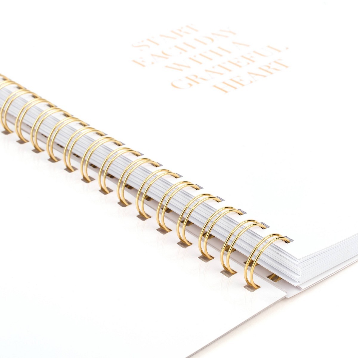 Sugar Paper Essentials 8.5″x11″ Large Wirebound Frosted Poly 2026-2027 Planner