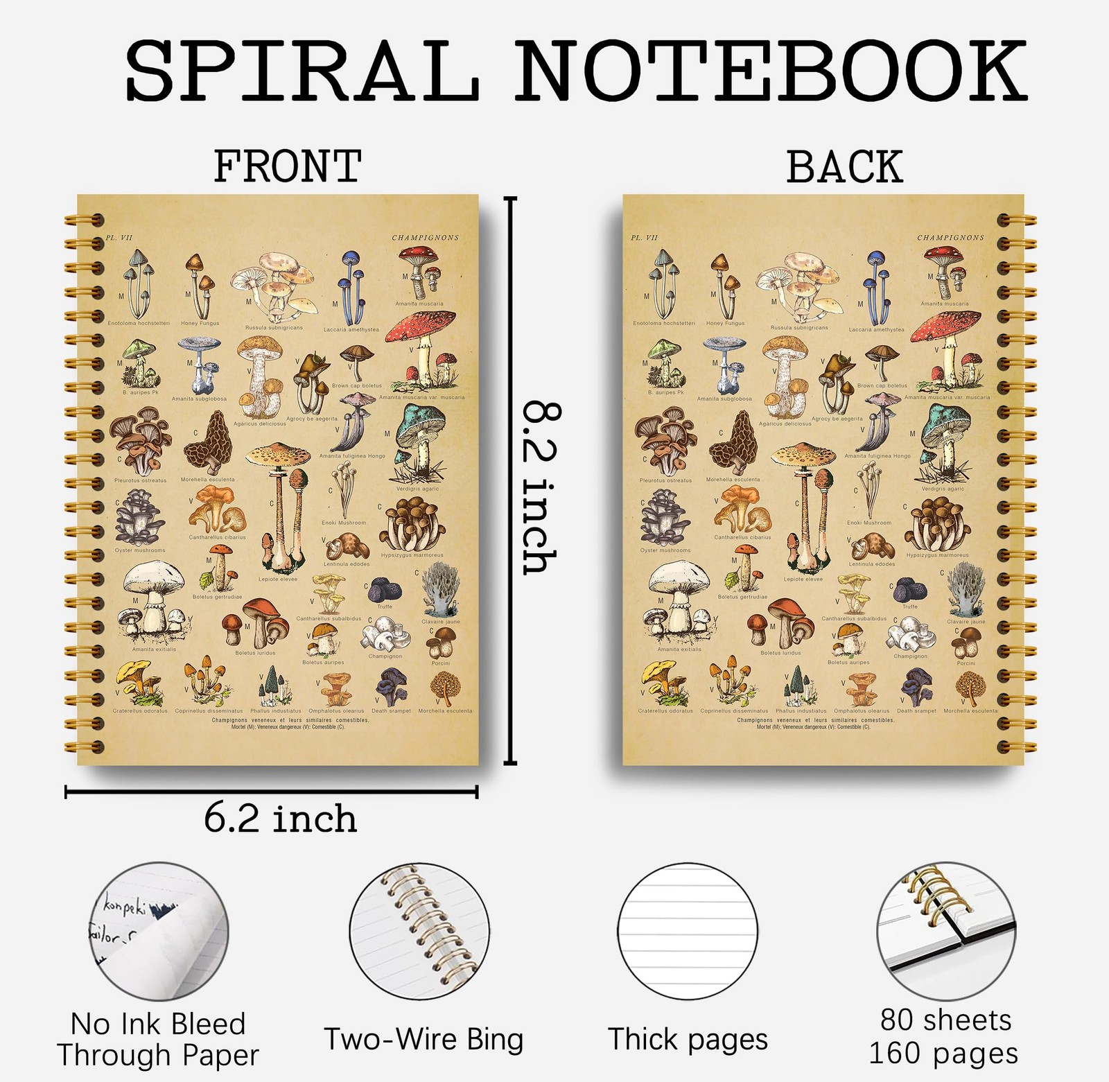 Guymn Vintage Botanical Mushroom Notebook Journal – Cottagecore Mushroom-2