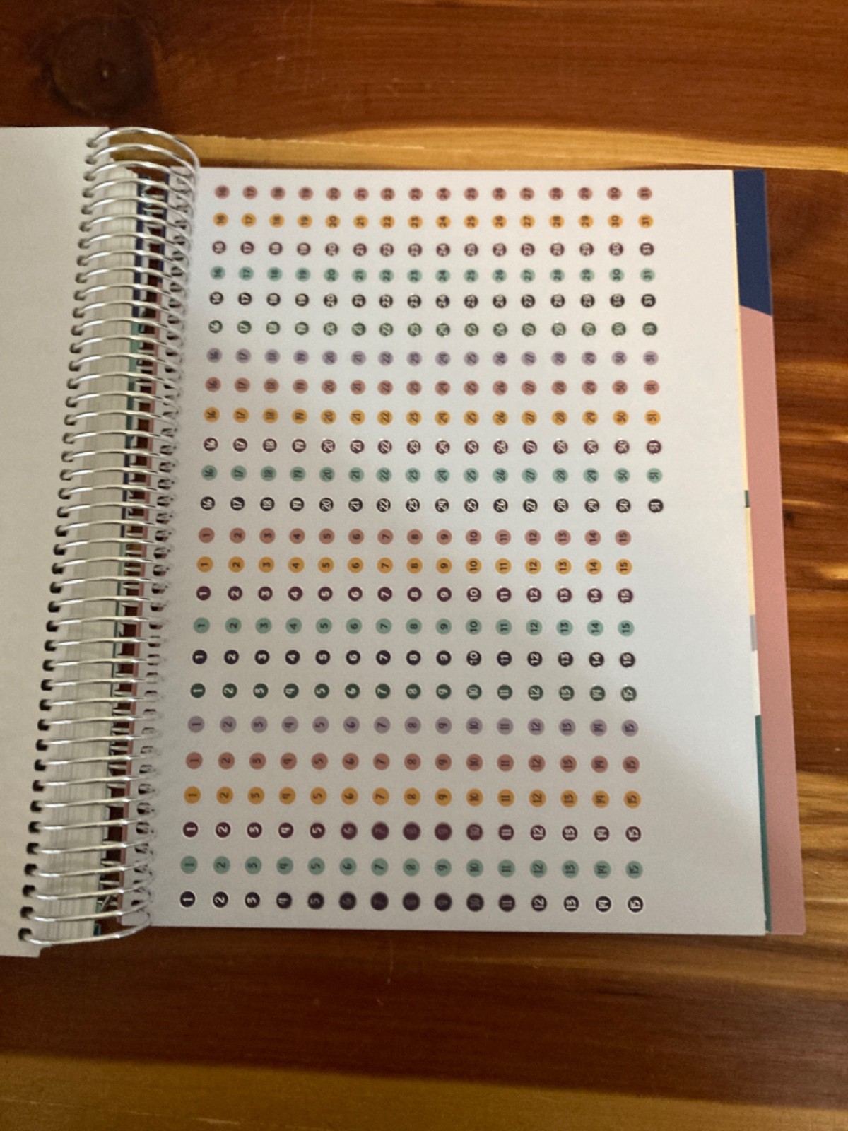 NEW The Budget Mom Live Rich Planner (Small) and Pink Folio