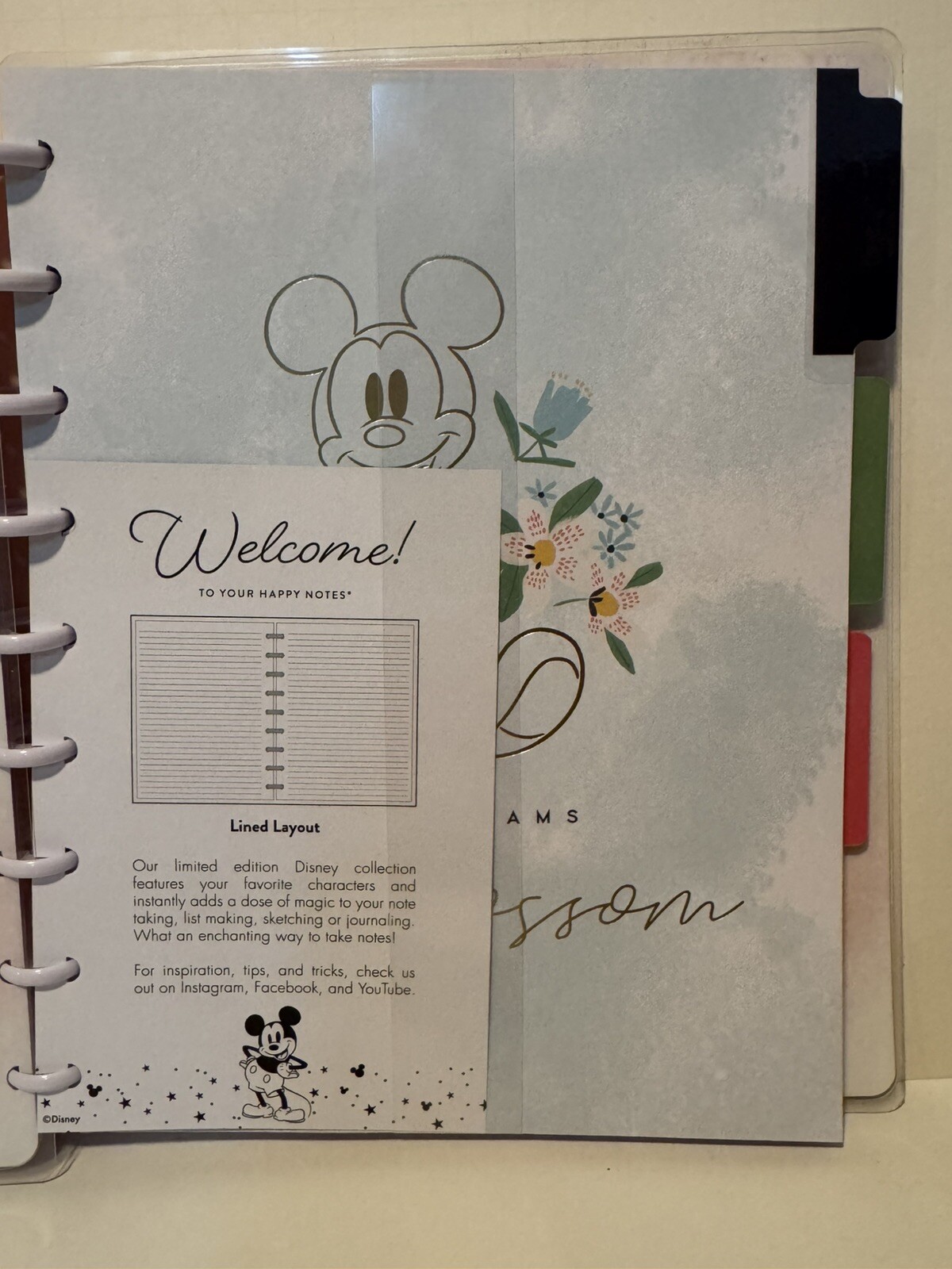 Disney Mickey Minnie Mouse The Happy Planner Classic Notebook