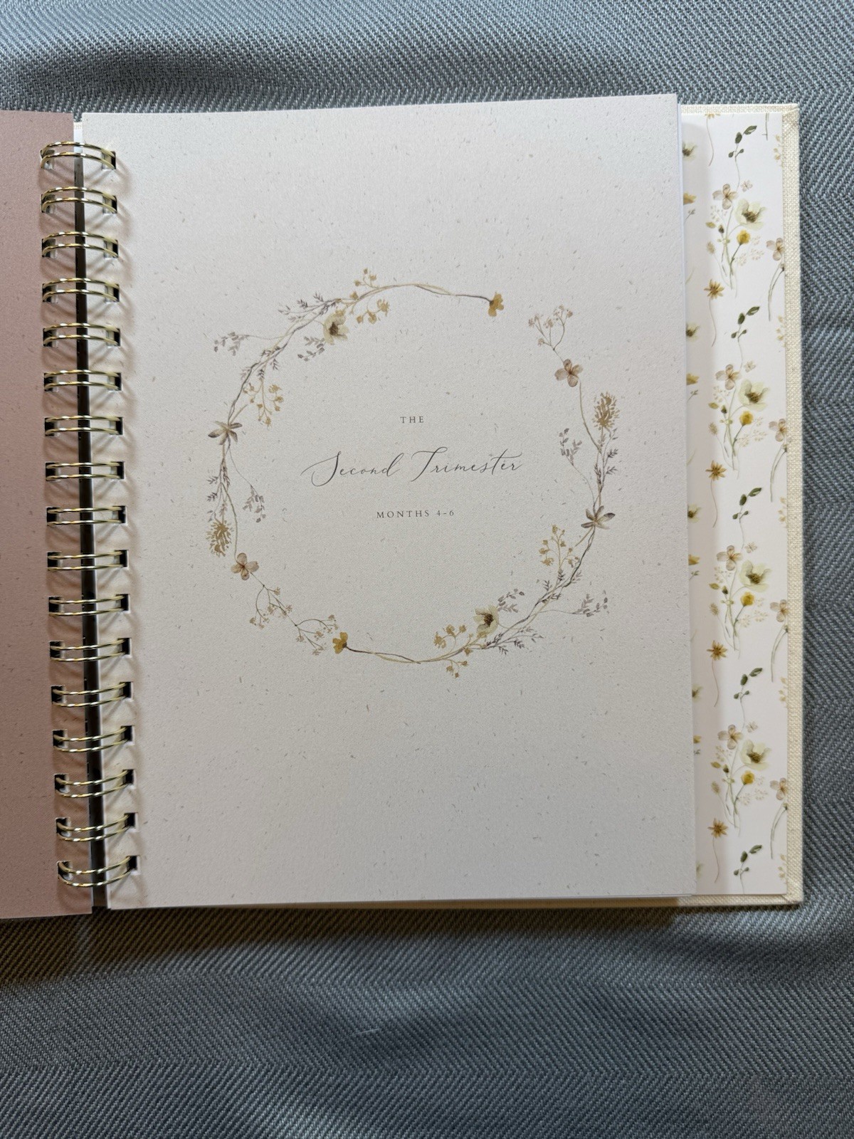 Peachly Pregnancy Journal New Open Box