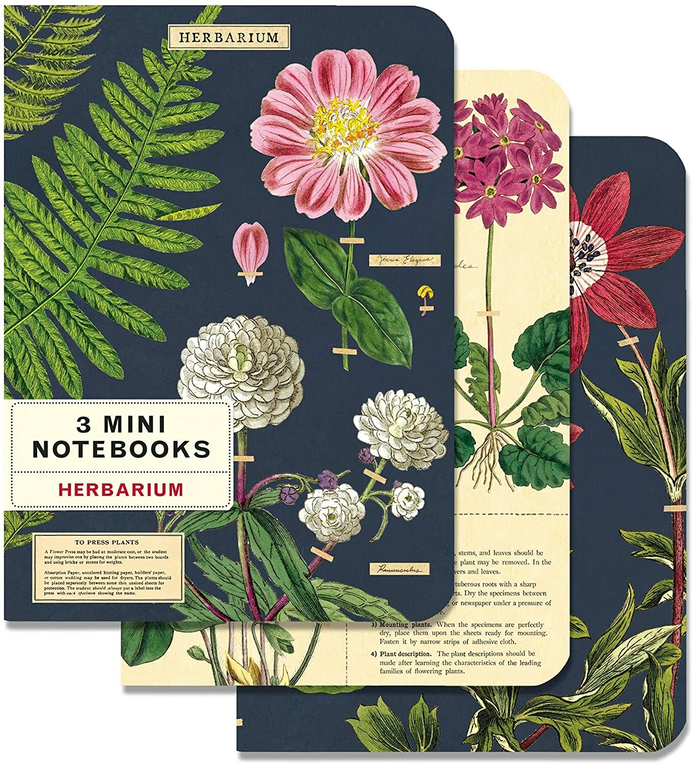 Cavallini Mini Notebooks HERBARIUM 96-Page 4 X 5.5 Inch Set of 3