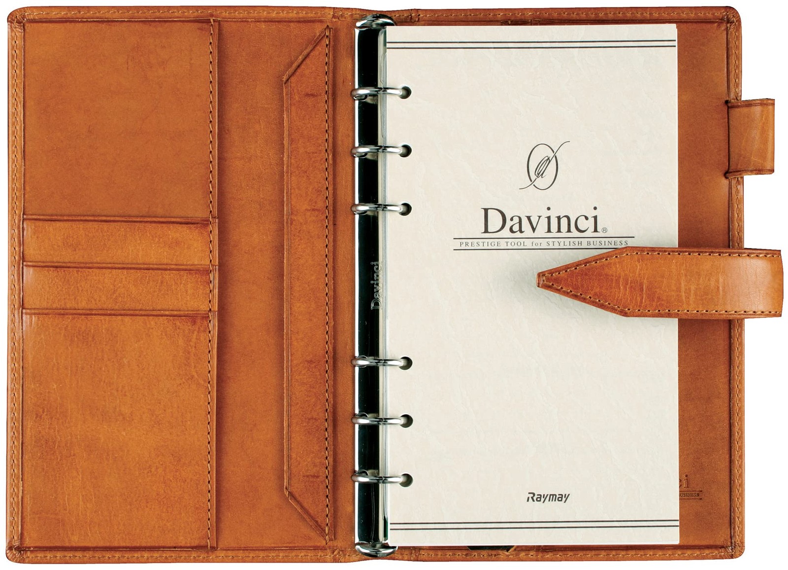 Reimei Fujii System Planner Da Vinci Roroma Classic DB3011A Blue