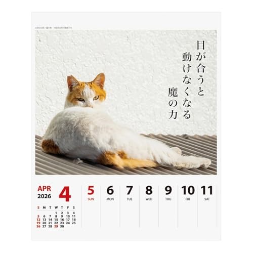 2026 Calendar Cat Senryu Weekly Calendarfrom JP