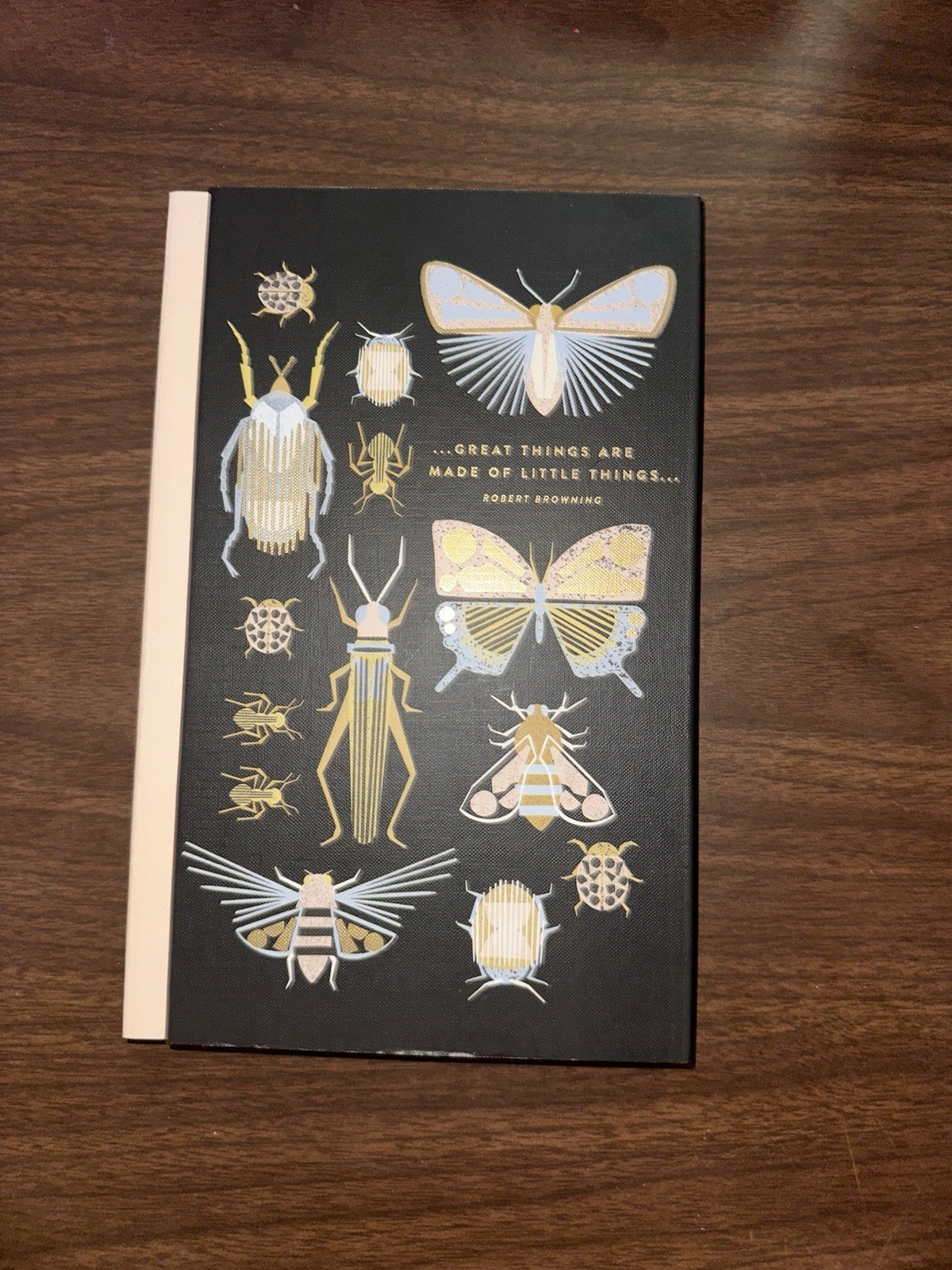Black and Multi Colored Bug and Insect Lined Journal Notebook