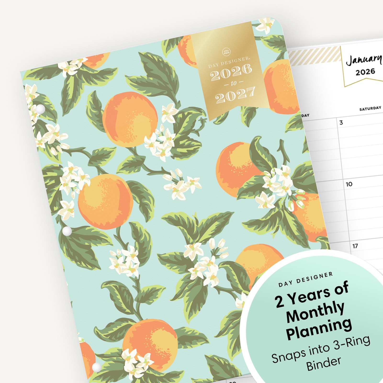 Day Designer 24 Month 2026 Monthly Planner Calendar, January 2026 – December …