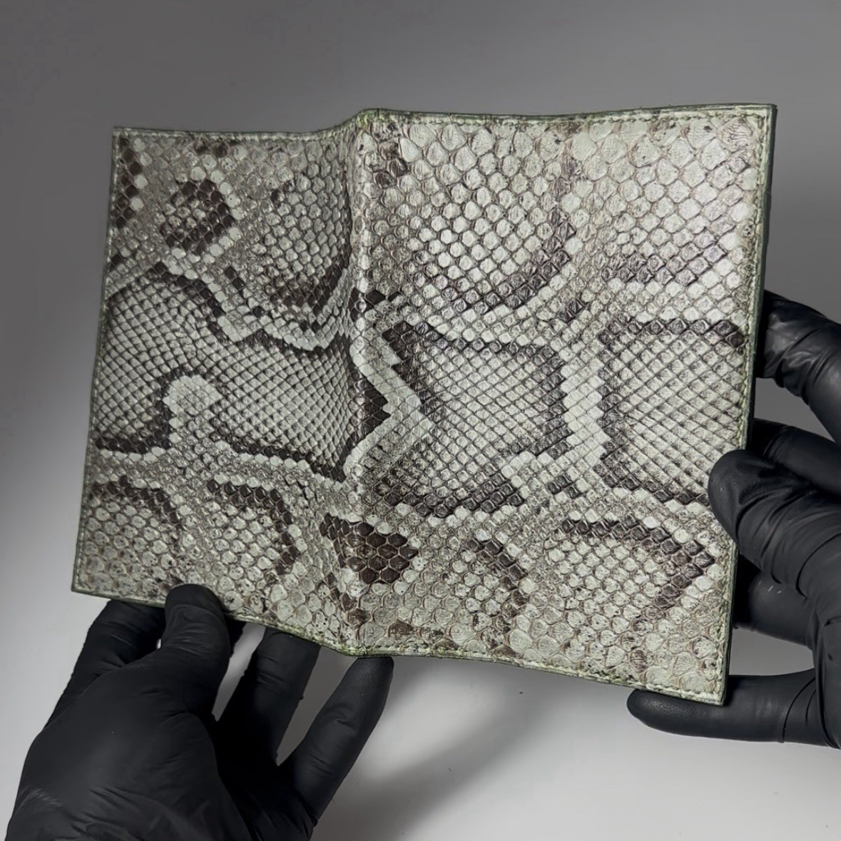 Burmese python a6 notebook coverwallet