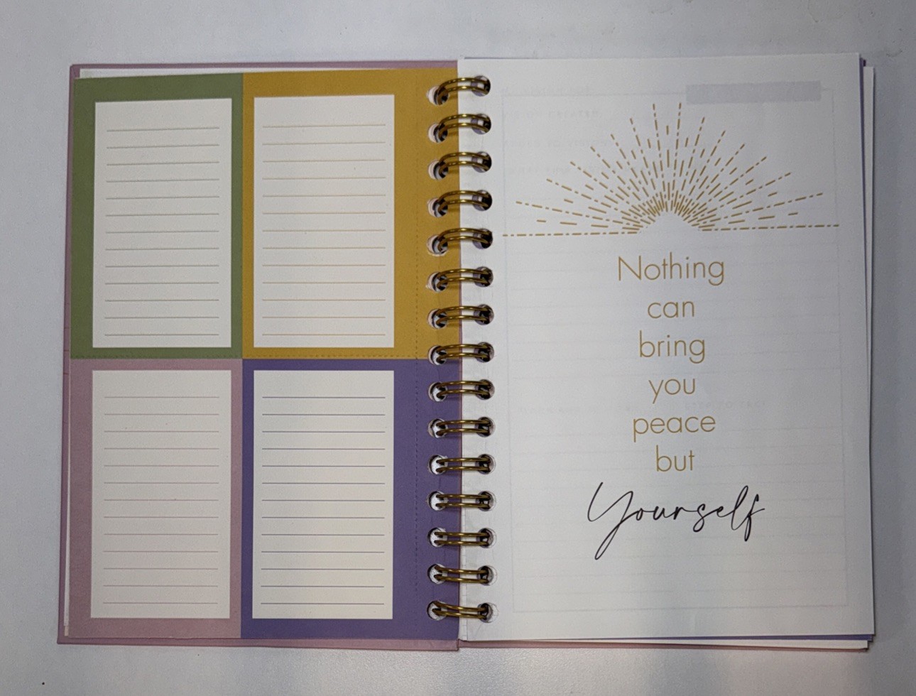 Spiral Journal 5.5in X 8in – ‘Your Future Is Bright’ – Pink