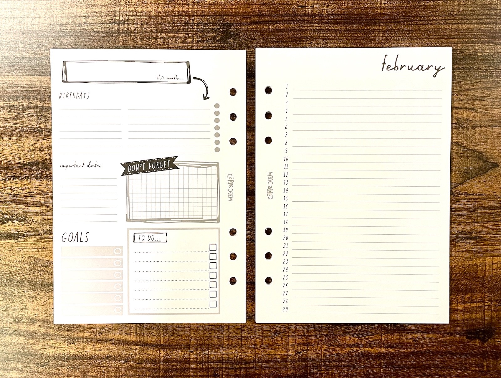 Carpe Diem Undated A5 Monthly Planner Inserts