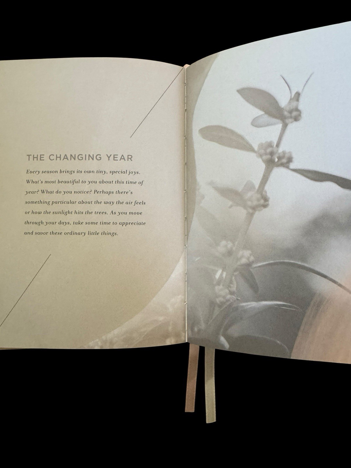 Every Moment is Beautiful by Compendium: 12-Month Undated Planner — New