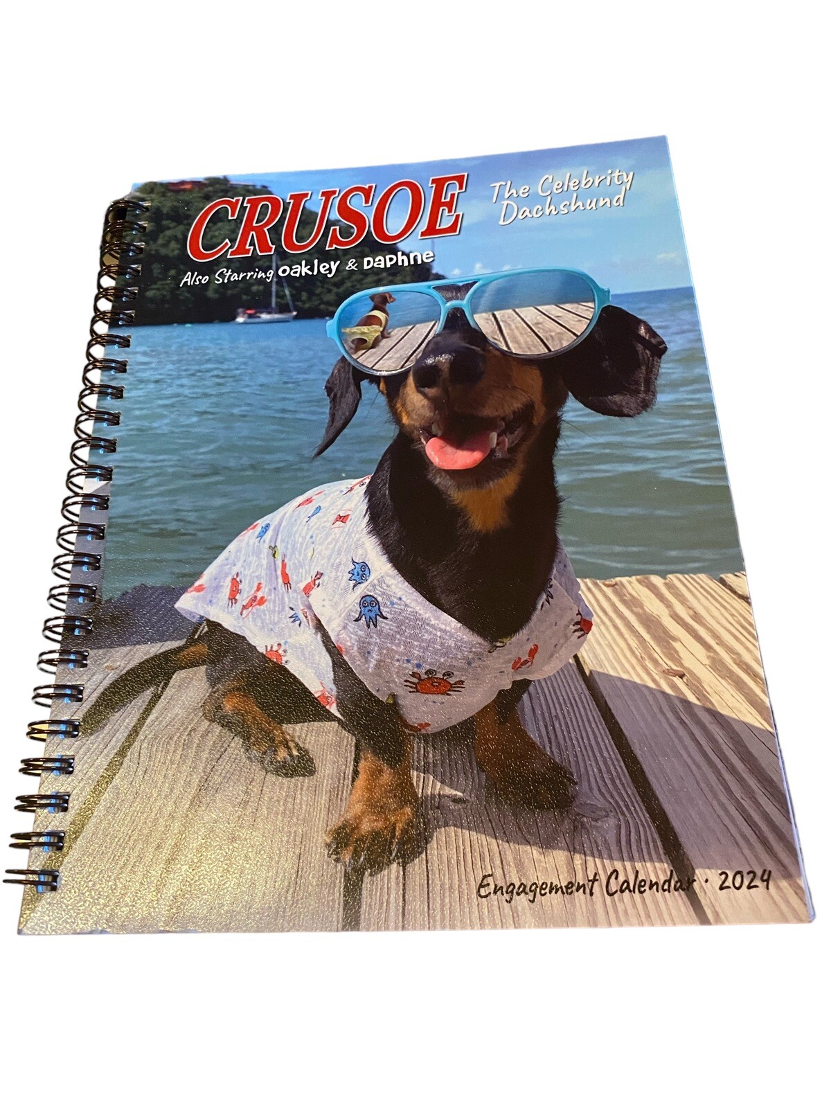 Crusoe the Celebrity Dachshund 2024 6.5″ x 8.5″ Engagement Calendar