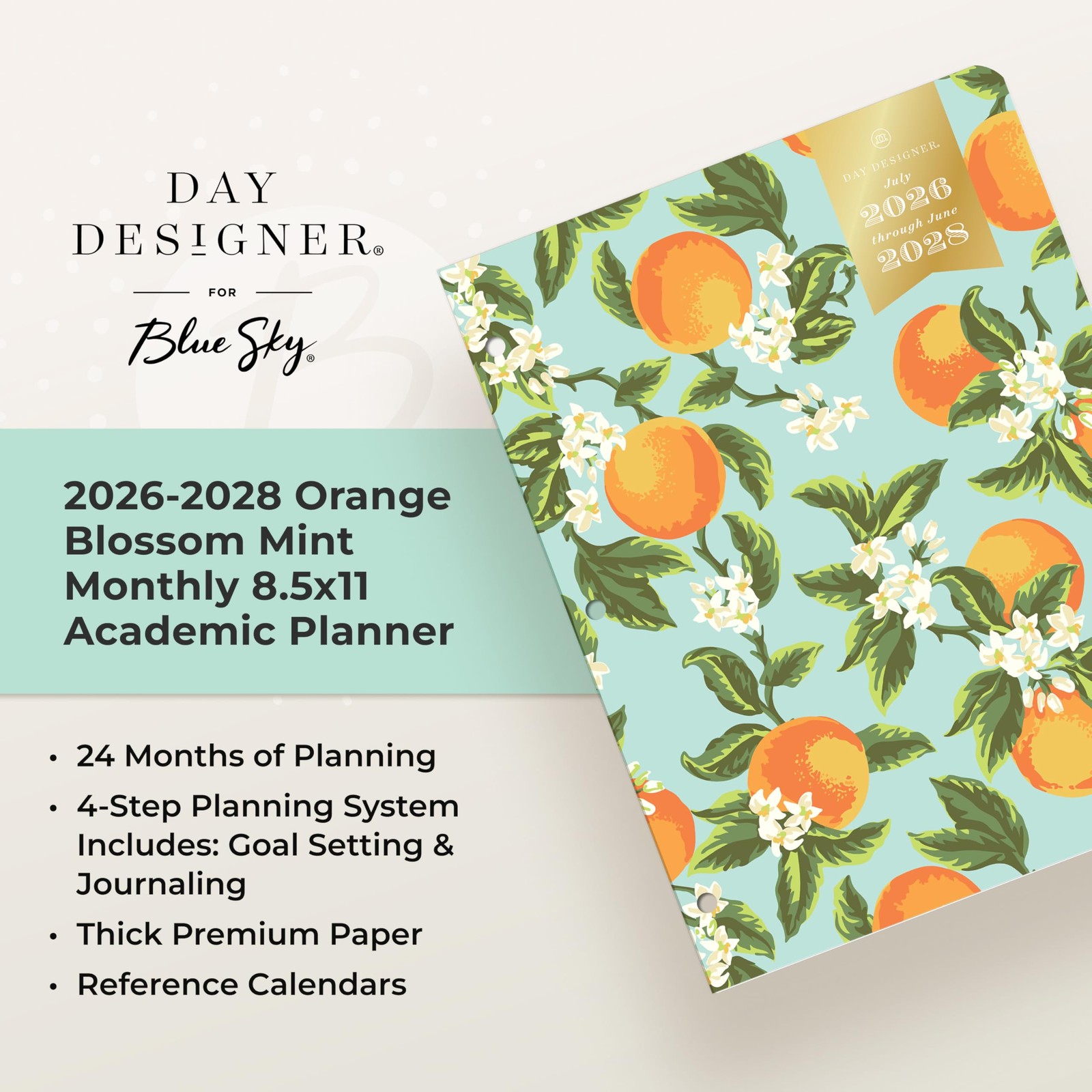 Blue Sky Day Designer 2026-2028 Monthly Academic Year 24 Month Planner Calend…