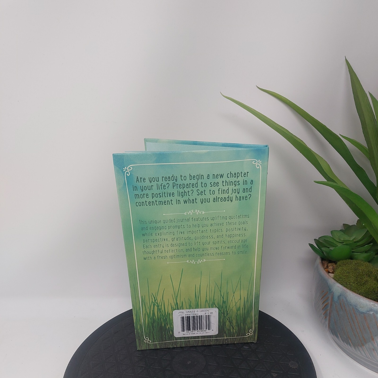 Guided Positivity Journal by 5 inches X 8 inch The Grass is Green Enough UNUSED