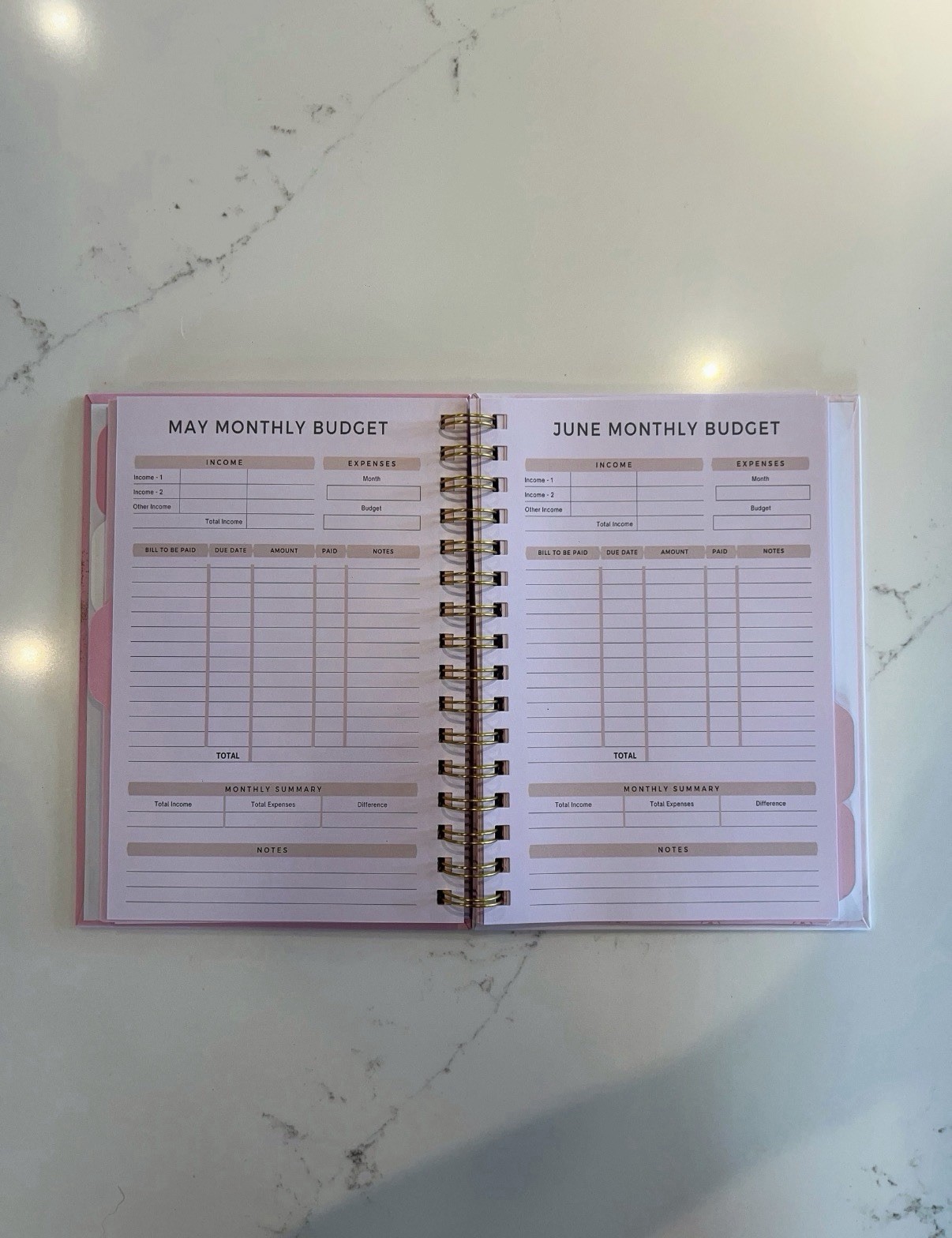 The Baddie Financial Planner | Pink & Gold 12-Month Budget Planner (113 Pages)