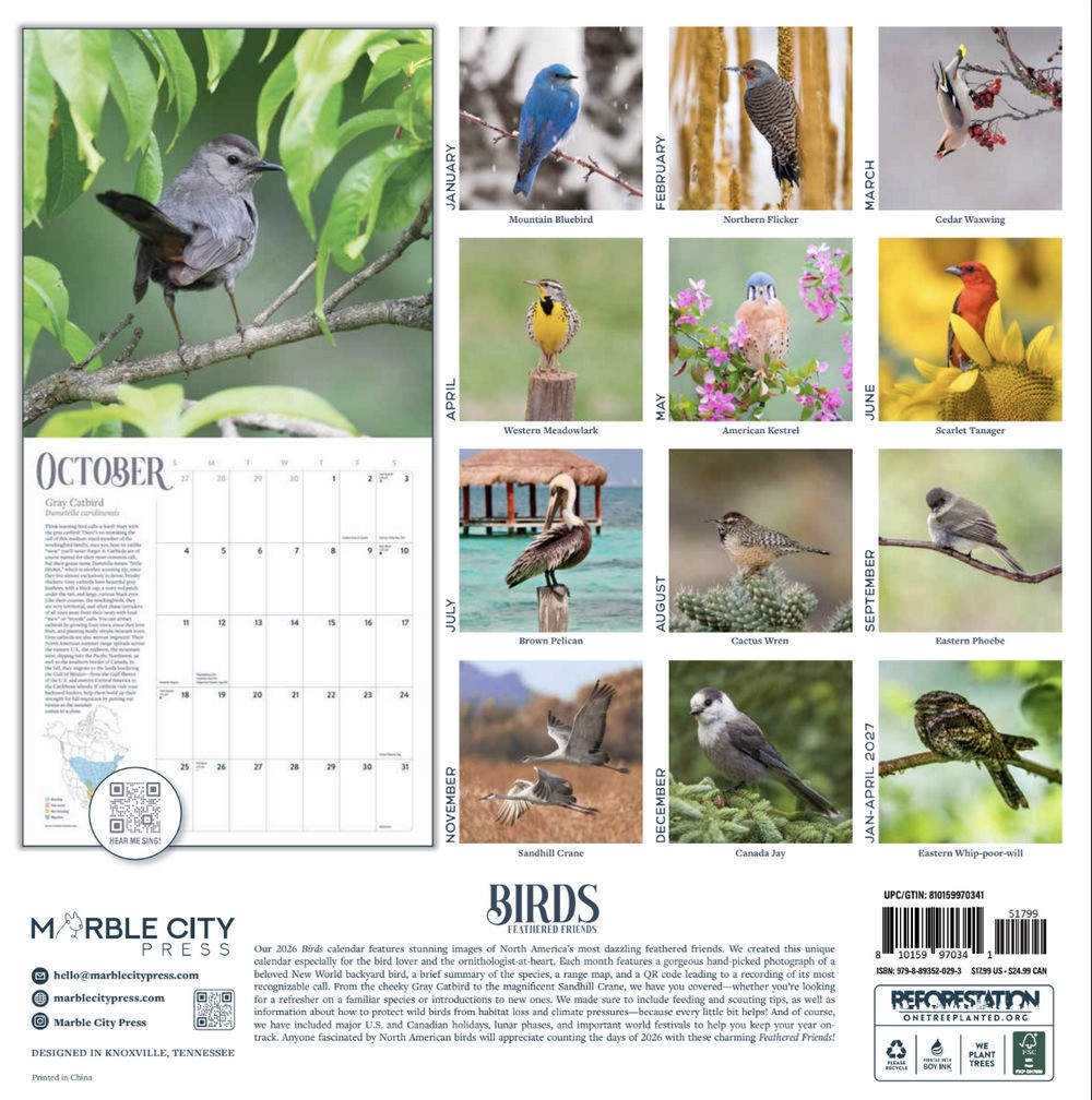 Bird Wall Calendar 2026 | 12″ x 24″ 12 Month Calendar | Marble City Press