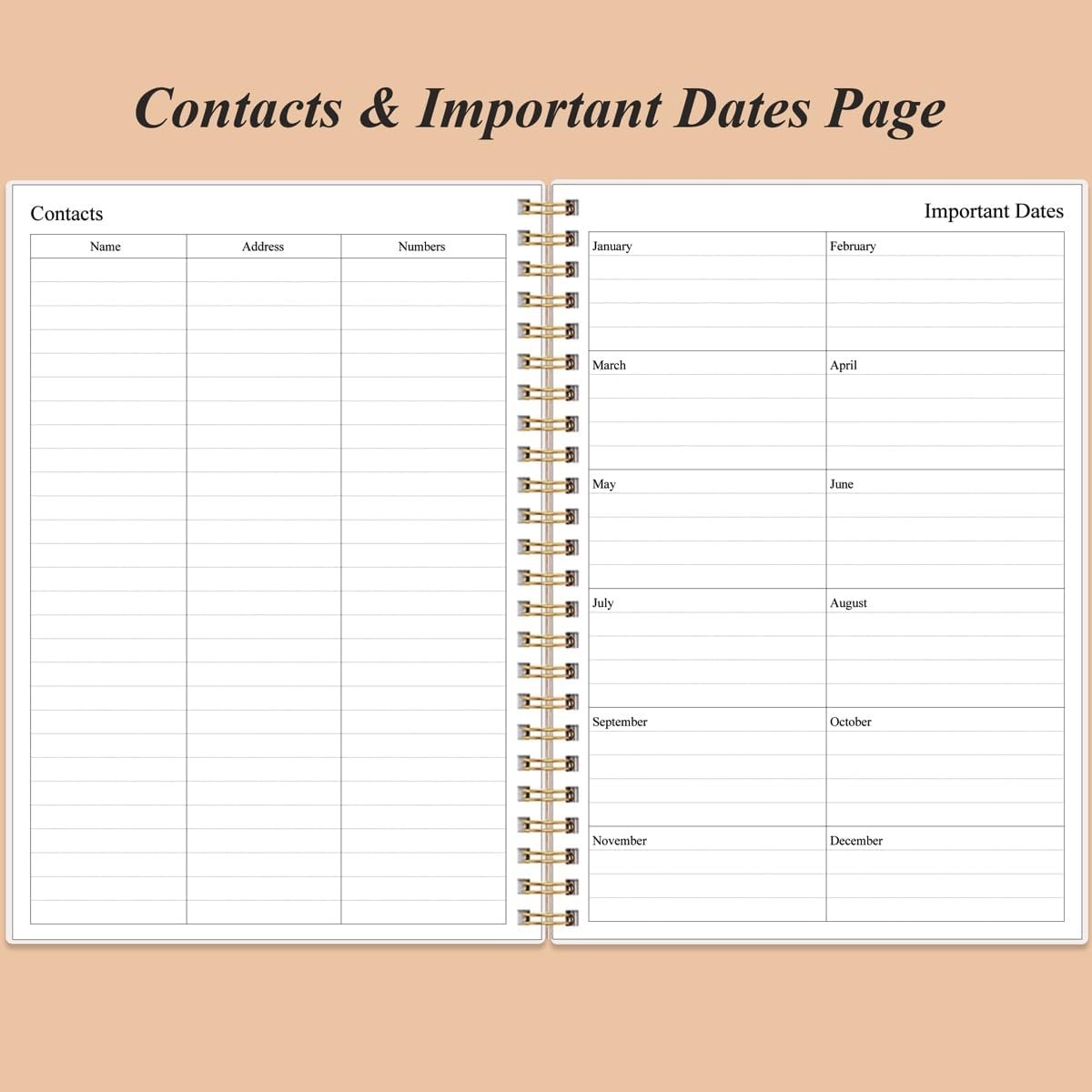 Elegant Undated Daily Planner – B5 Size, 150 Pages, Spiral Organizer, Rose Leaf