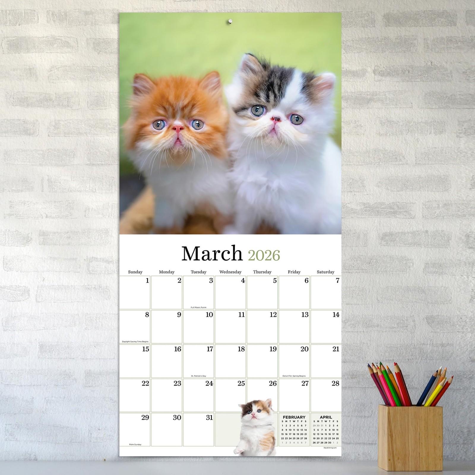 TF Publishing 2026 Kittens Wall Calendar – Large Grids for Appointments Multi
