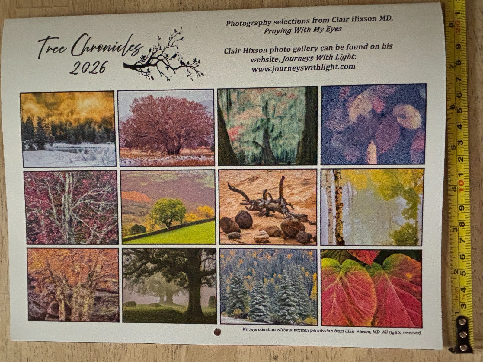 Tree Chronicles – 2026- 12-Month Wall Calendar – Great Tree Photography!