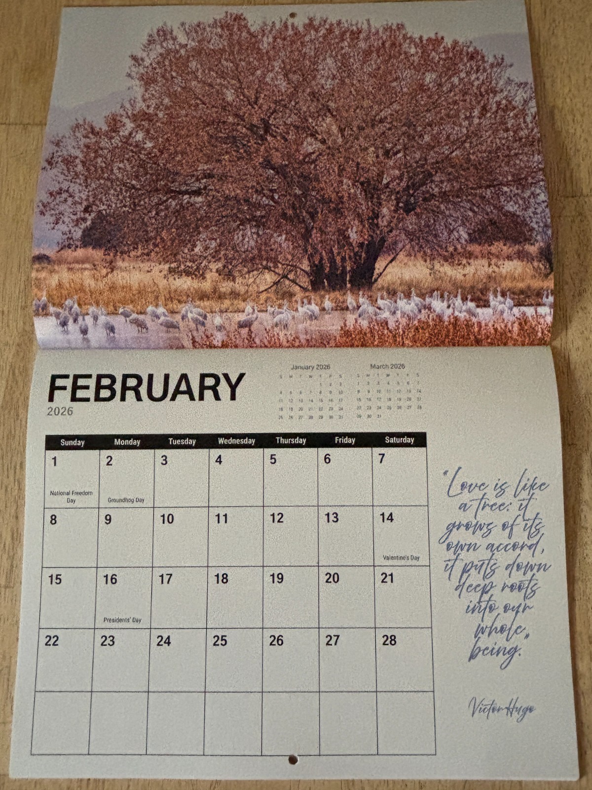 Tree Chronicles – 2026- 12-Month Wall Calendar – Great Tree Photography!