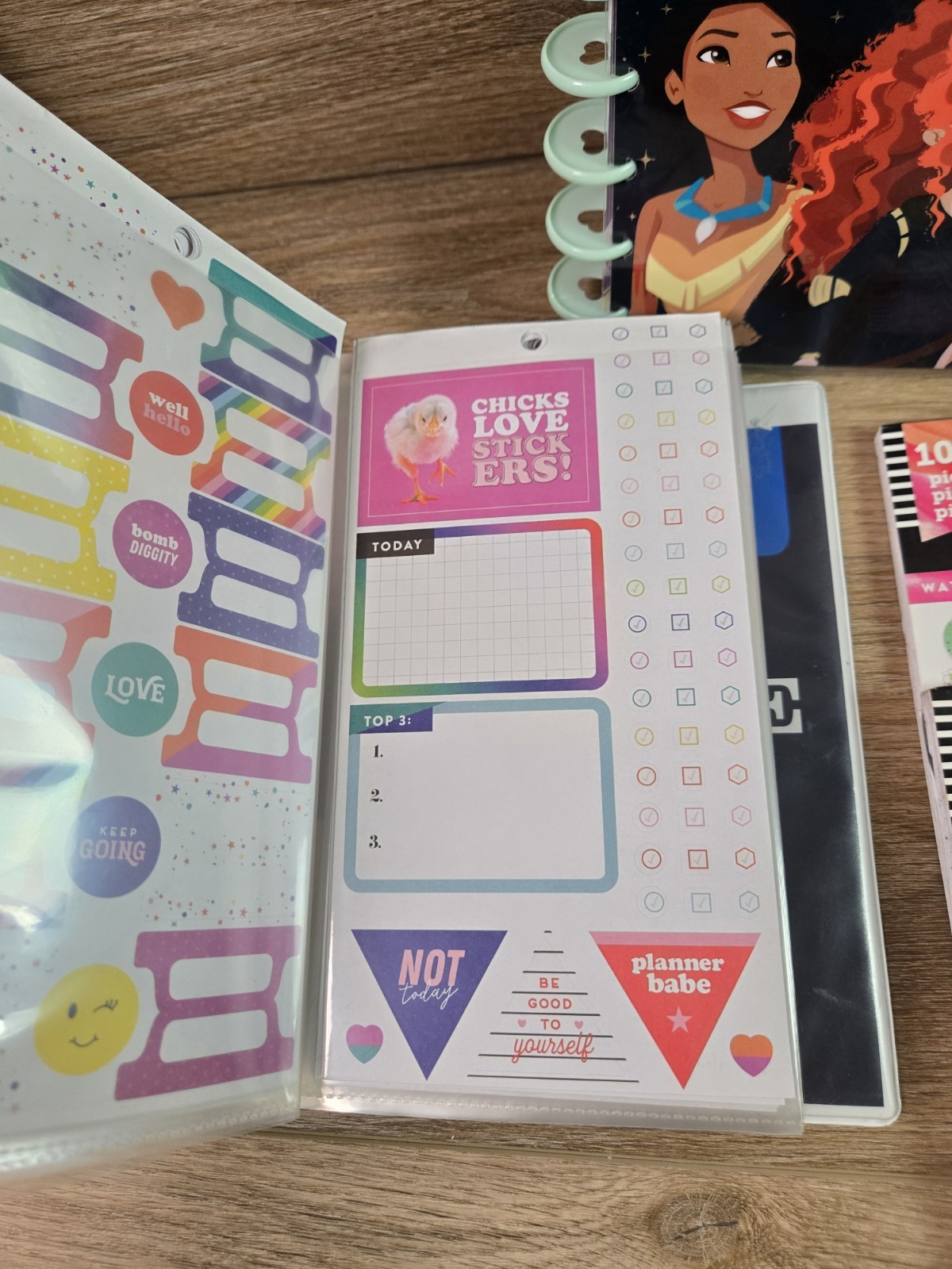 Happy Planner Haul Mix Lot. Disney Binder, 80+ Mics Calander Stickers. Get Fit