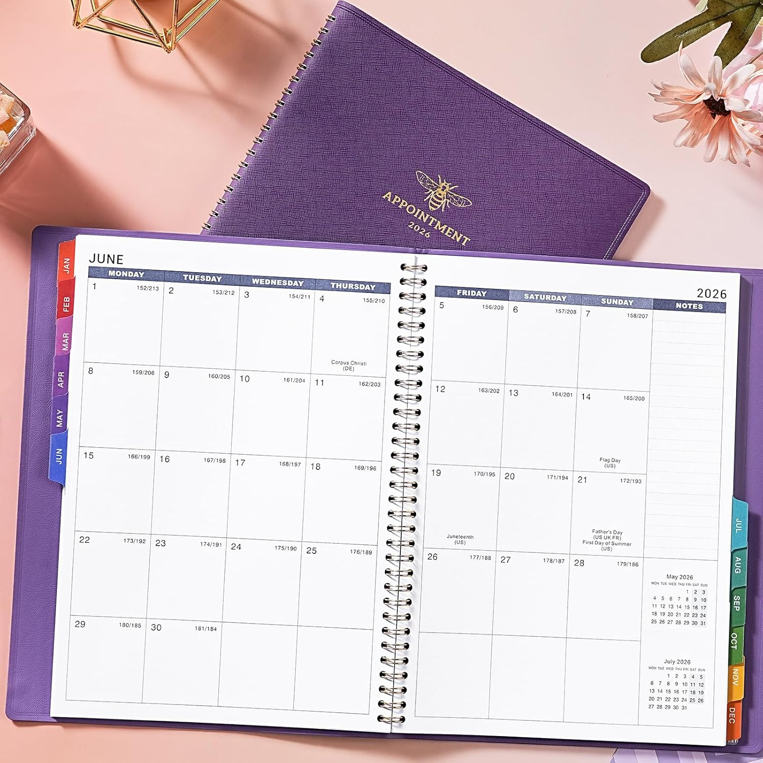2026 Appointment Book – 30 Minutes-Hourly, Weekly ＆ Monthly Calendar Planner 202