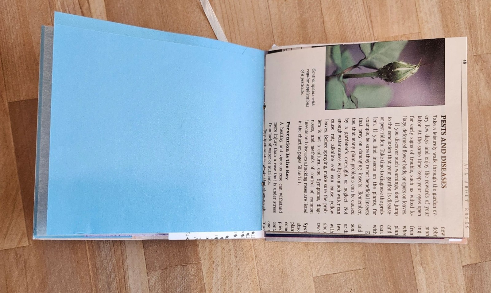 Junk journal Handmade 64 pages Colorful