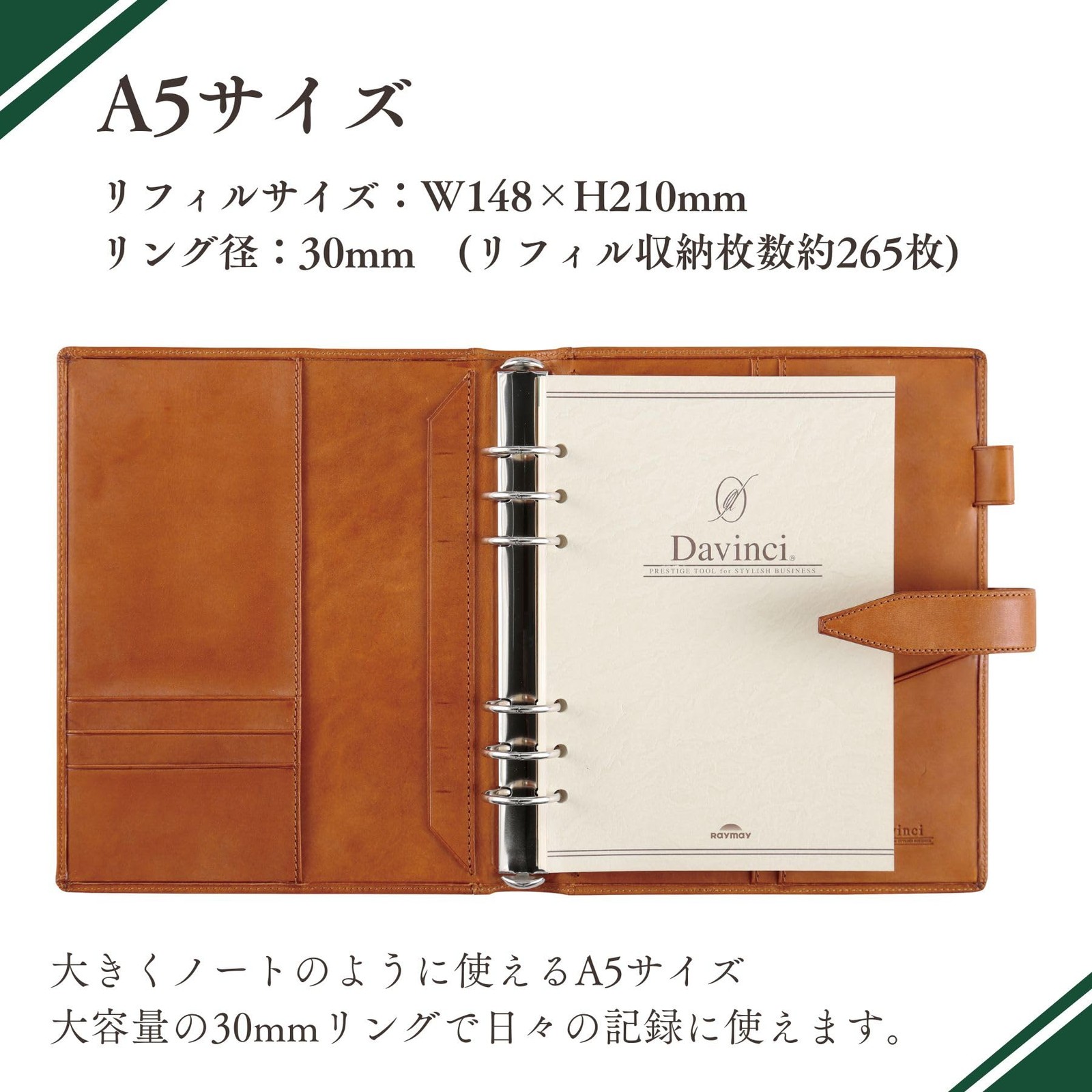 Raymay Fujii Da Vinci Grande Roroma Classic System Planner, A5 size, 30mm ring,