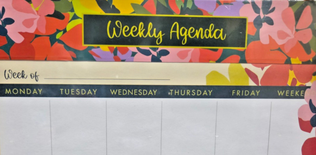 Molly & Rex~Punch Studio~ Weekly Planner Notepad~80 Sheets~Size 8″ x 8″~Undated