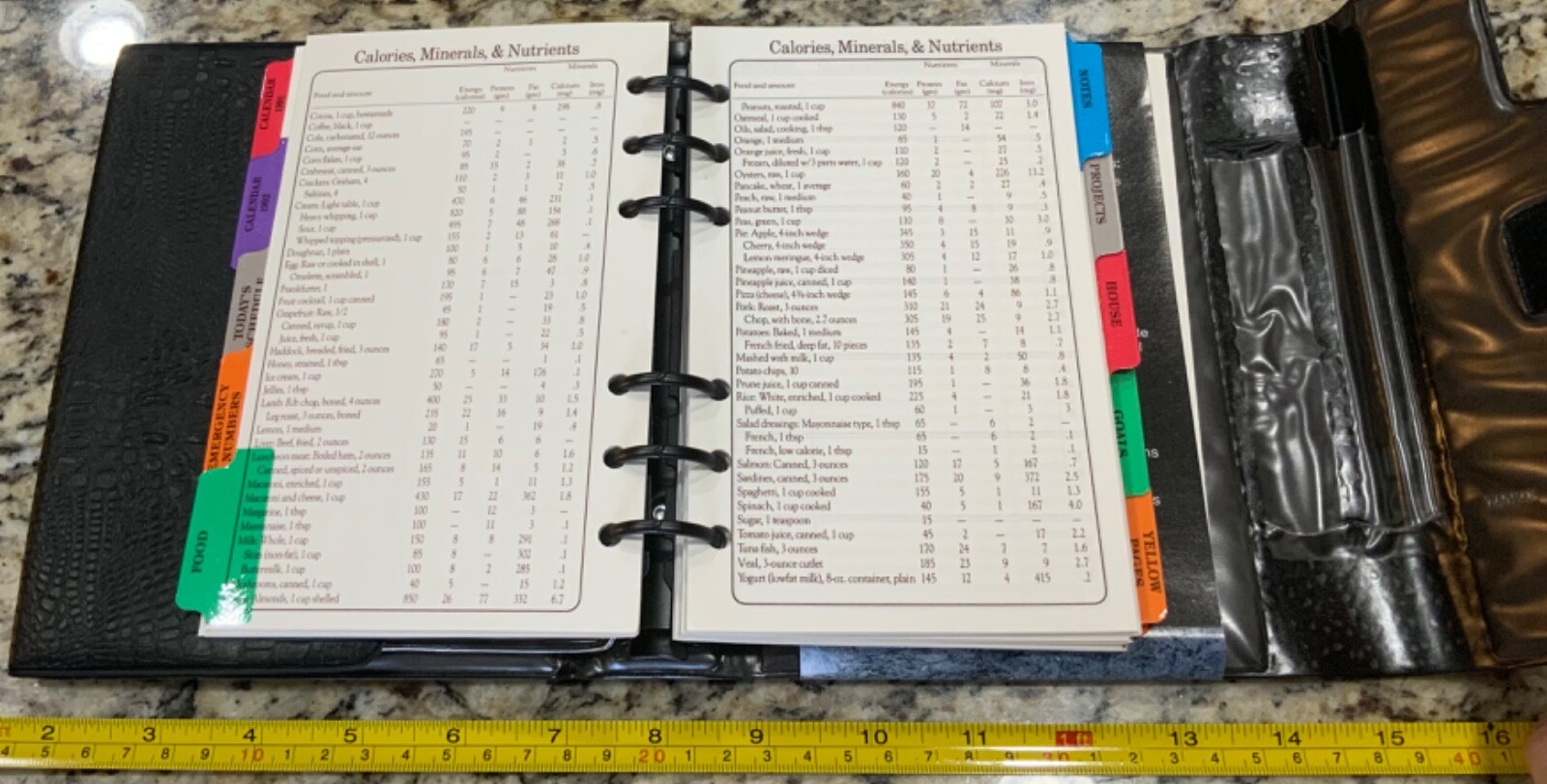 Vintage 1992 Fast Facts Organizer Deluxe Dailey Planner 6 Ring Complete New Open