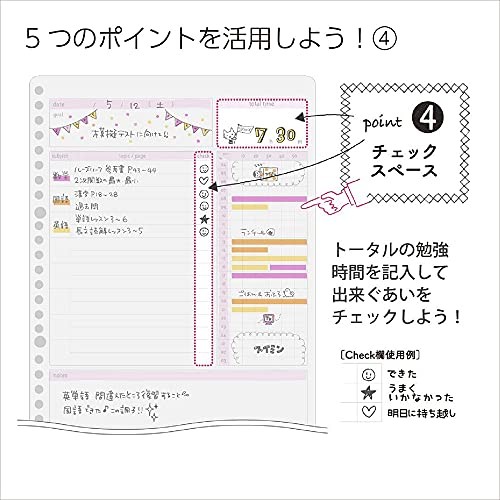 Campus Study Planner, Loose-Leaf, Daily Ruled, Girly, Set of 2