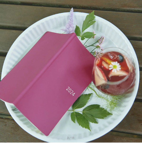 Hobonichi Techo 2024 Weeks Smooth Sangria/ Forest Green ENG/JPN JAPAN NEW