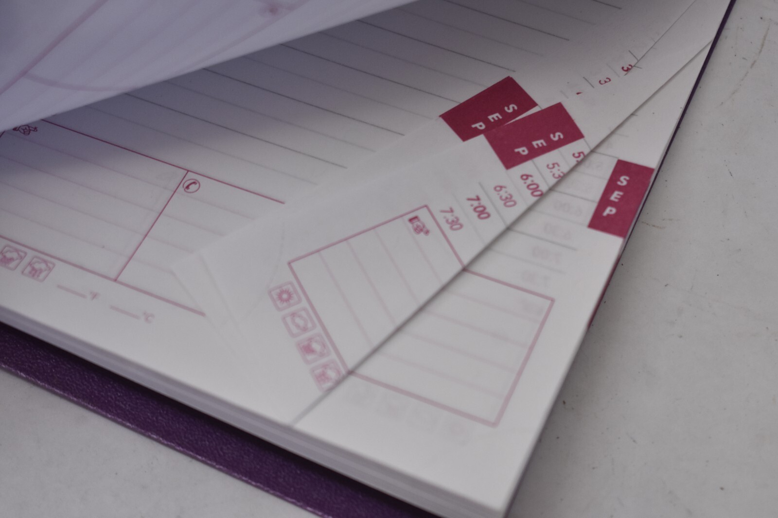 Duraflex Daily Durable & Flexible Poly Cover Planner 2025 Purple Cover