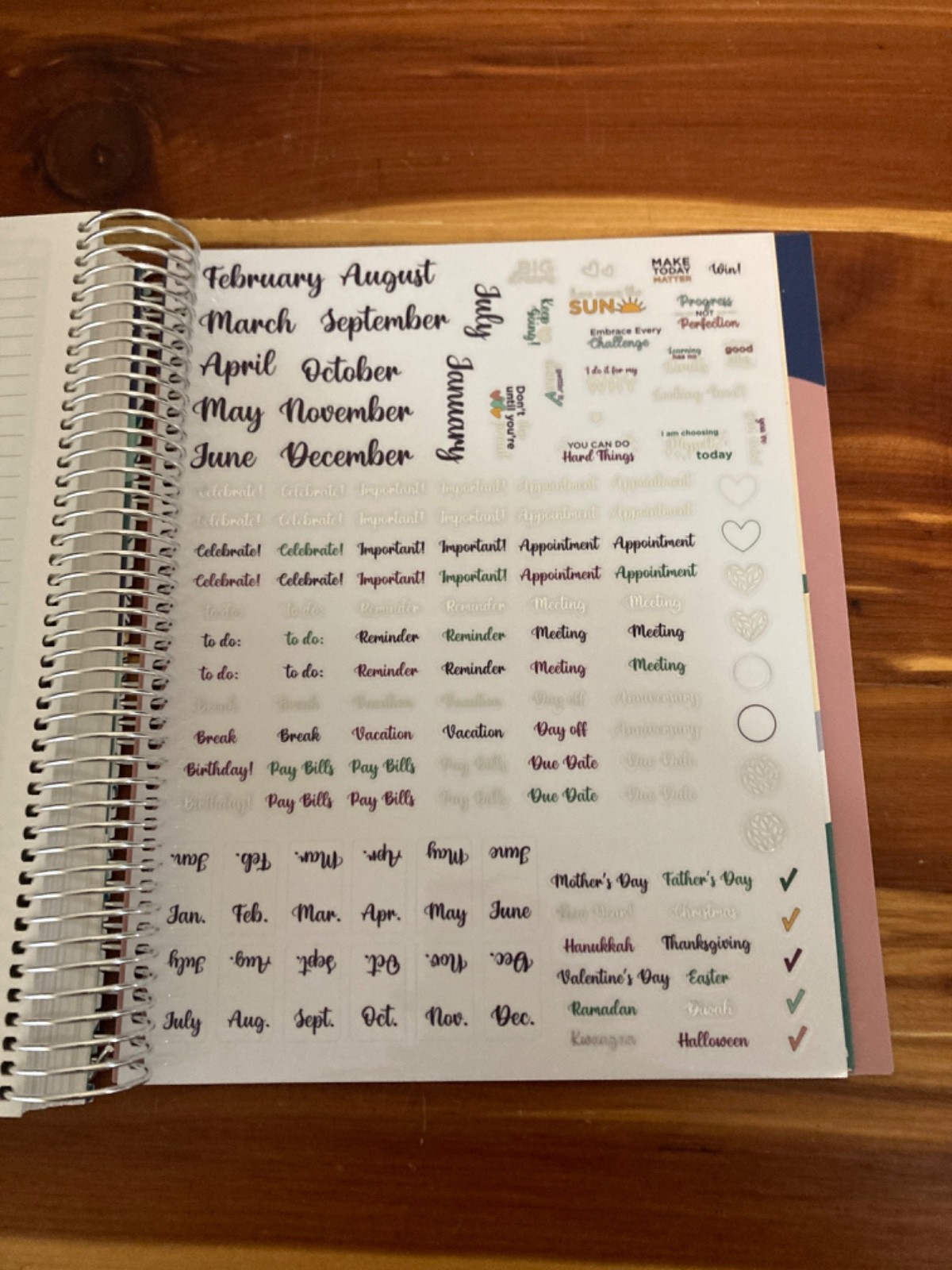 NEW The Budget Mom Live Rich Planner (Small) and Pink Folio