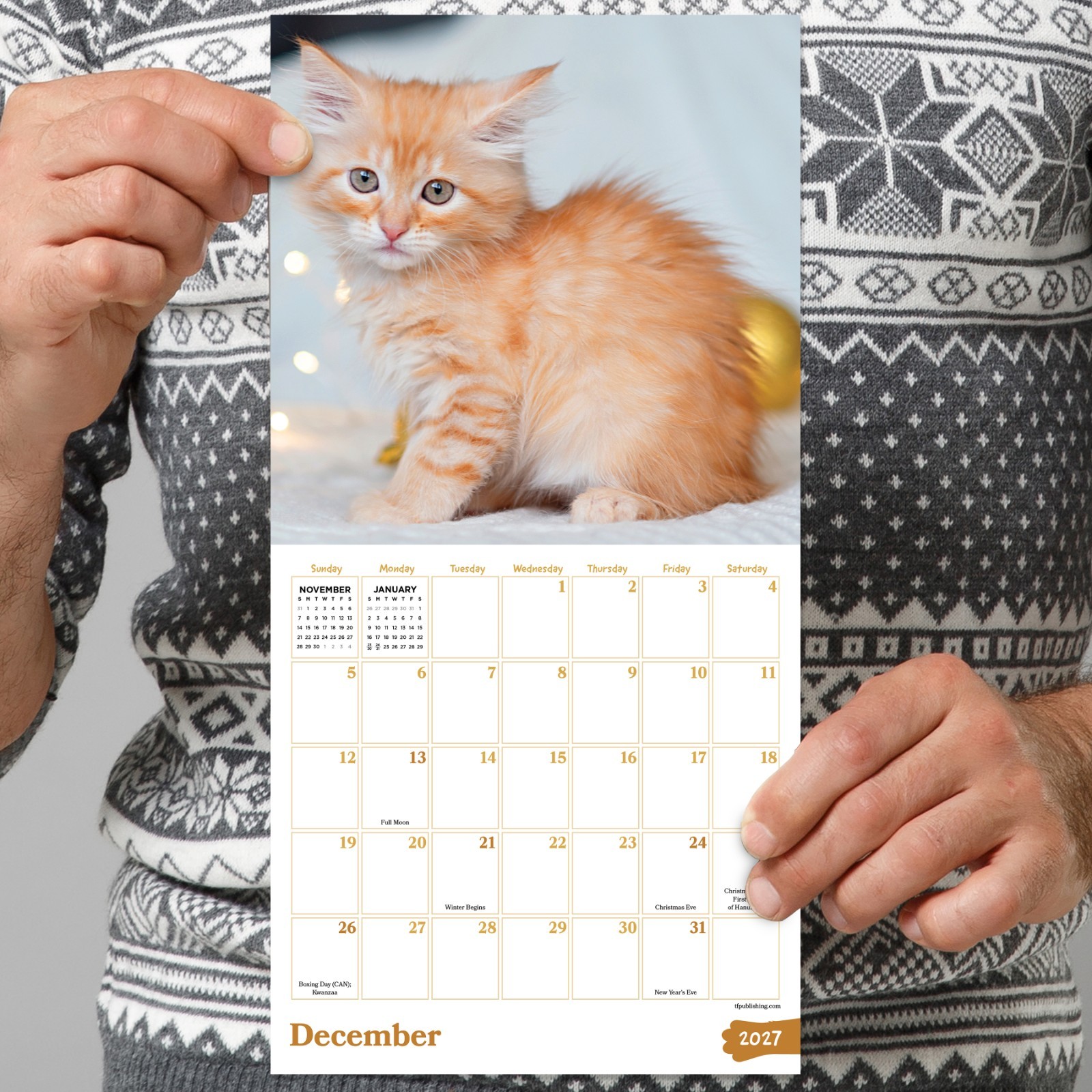 2027 Kittens Mini Calendar