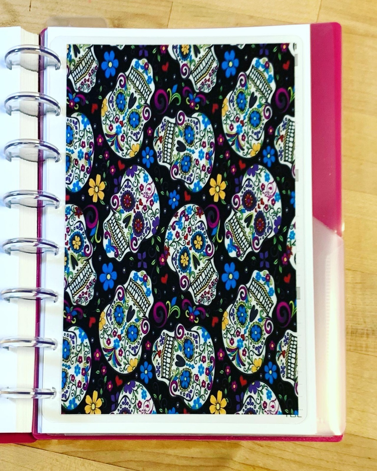 Sugar Skulls DASHBOARD 4 use w/ the TUL/Arc (8 disc) Planner