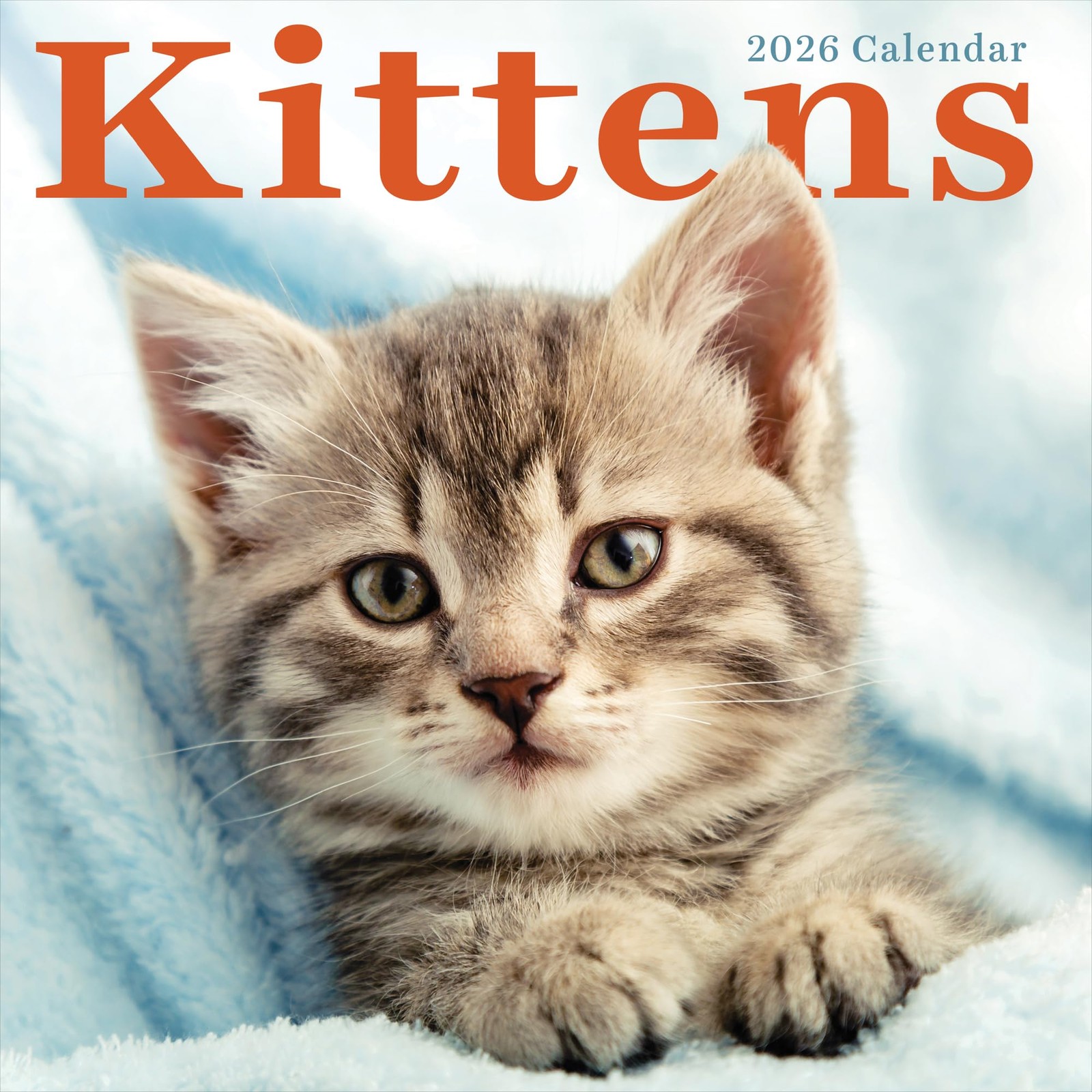 TF Publishing 2026 Kittens Wall Calendar – Large Grids for Appointments Multi