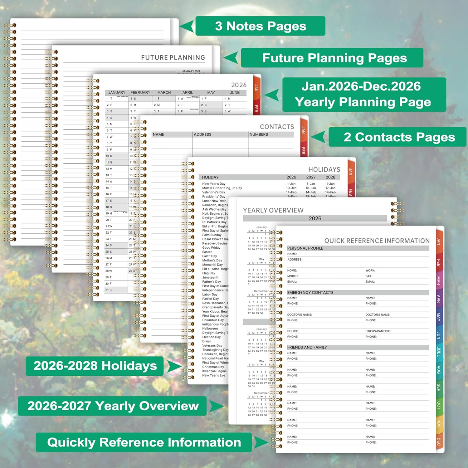 2026 Appointment Book/Planner – Appointment Book 2026, Jan.2026 – Dec.2026