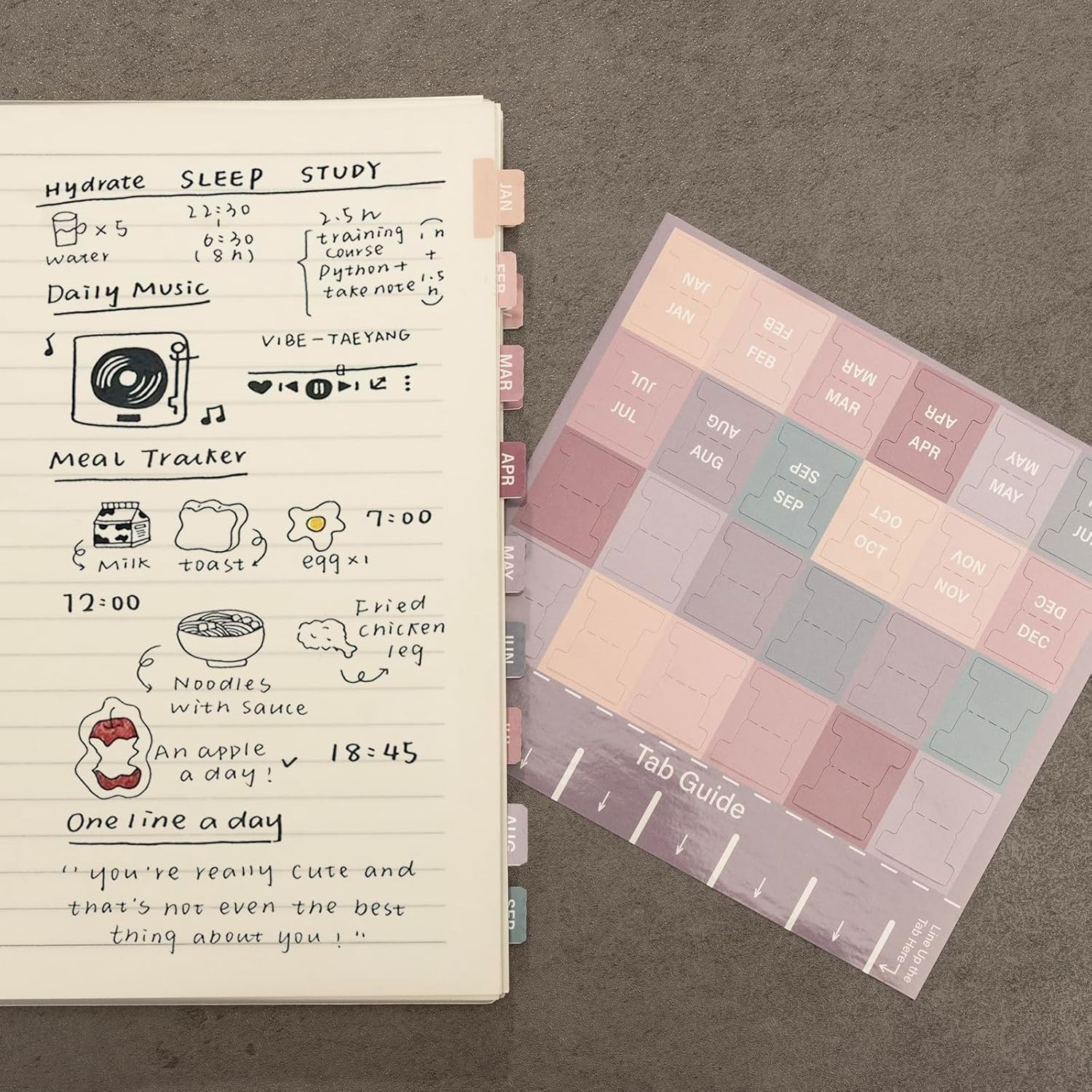 Laminated Planner Monthly Stickers,48 Adhesive Plan Tabs for Notebooks 2 Sets…